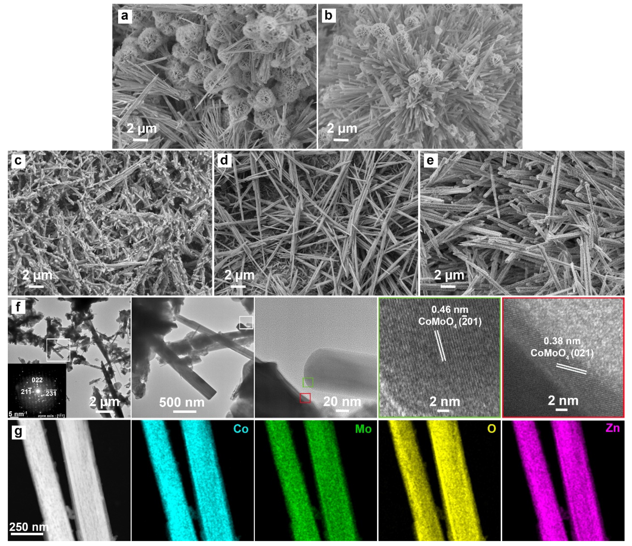 Catalysts 13 00798 g002