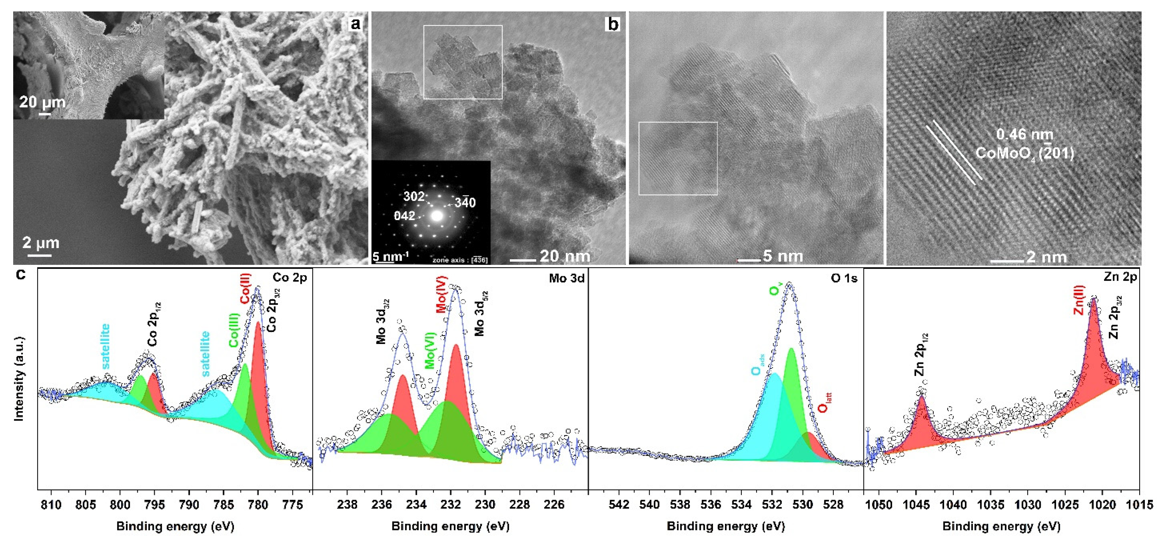 Catalysts 13 00798 g005