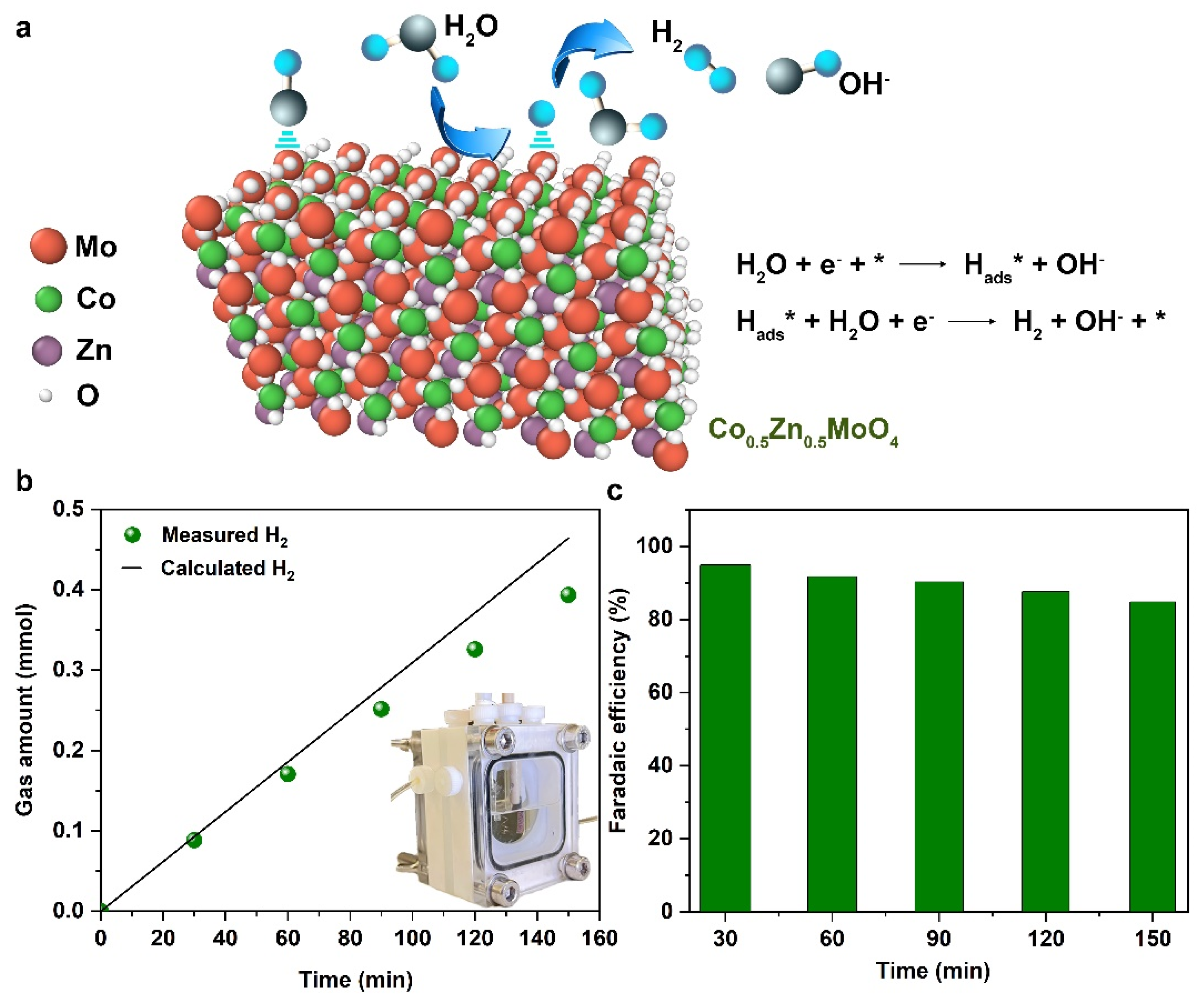 Catalysts 13 00798 g006