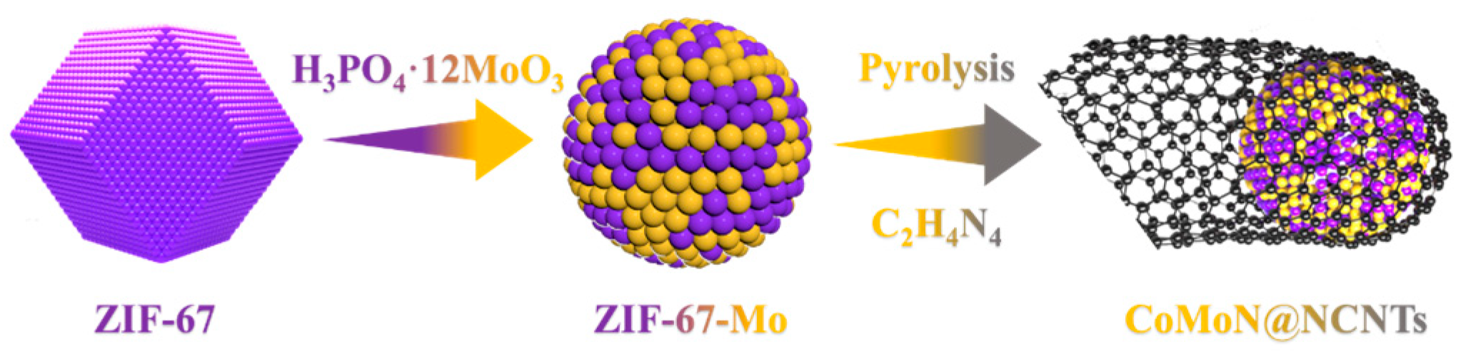 Catalysts 13 00801 g001