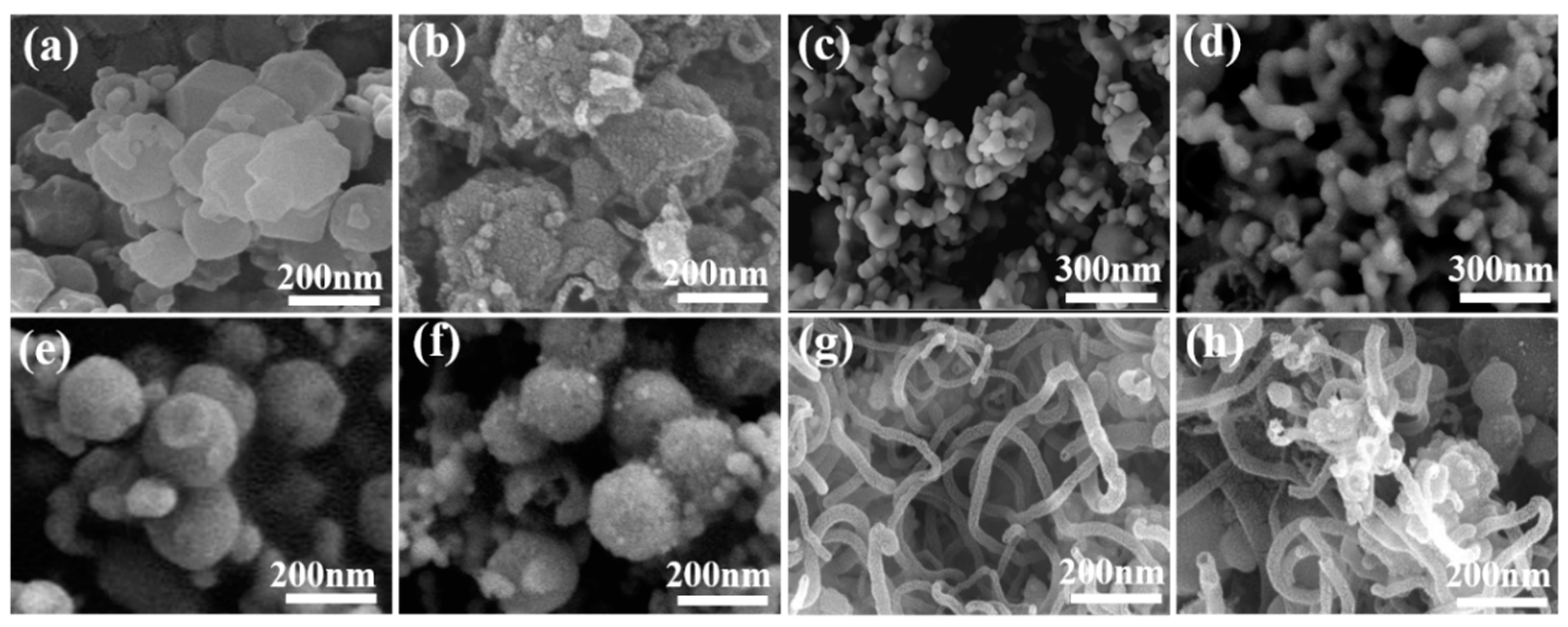 Catalysts 13 00801 g003