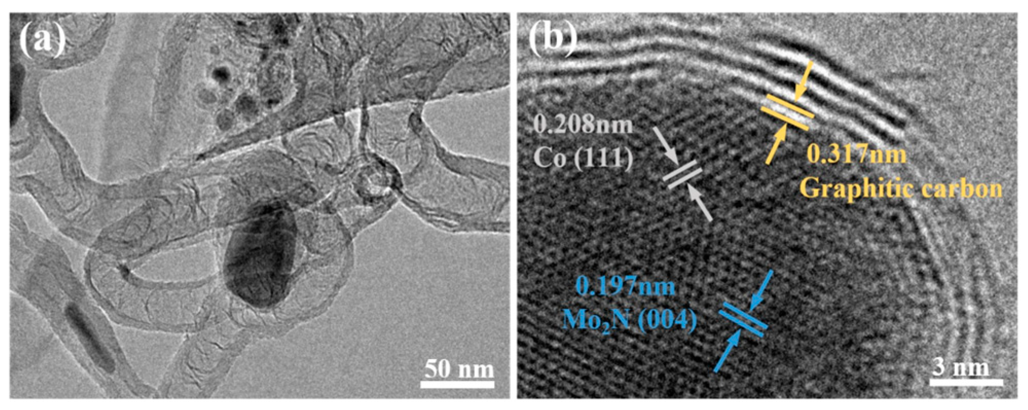 Catalysts 13 00801 g004