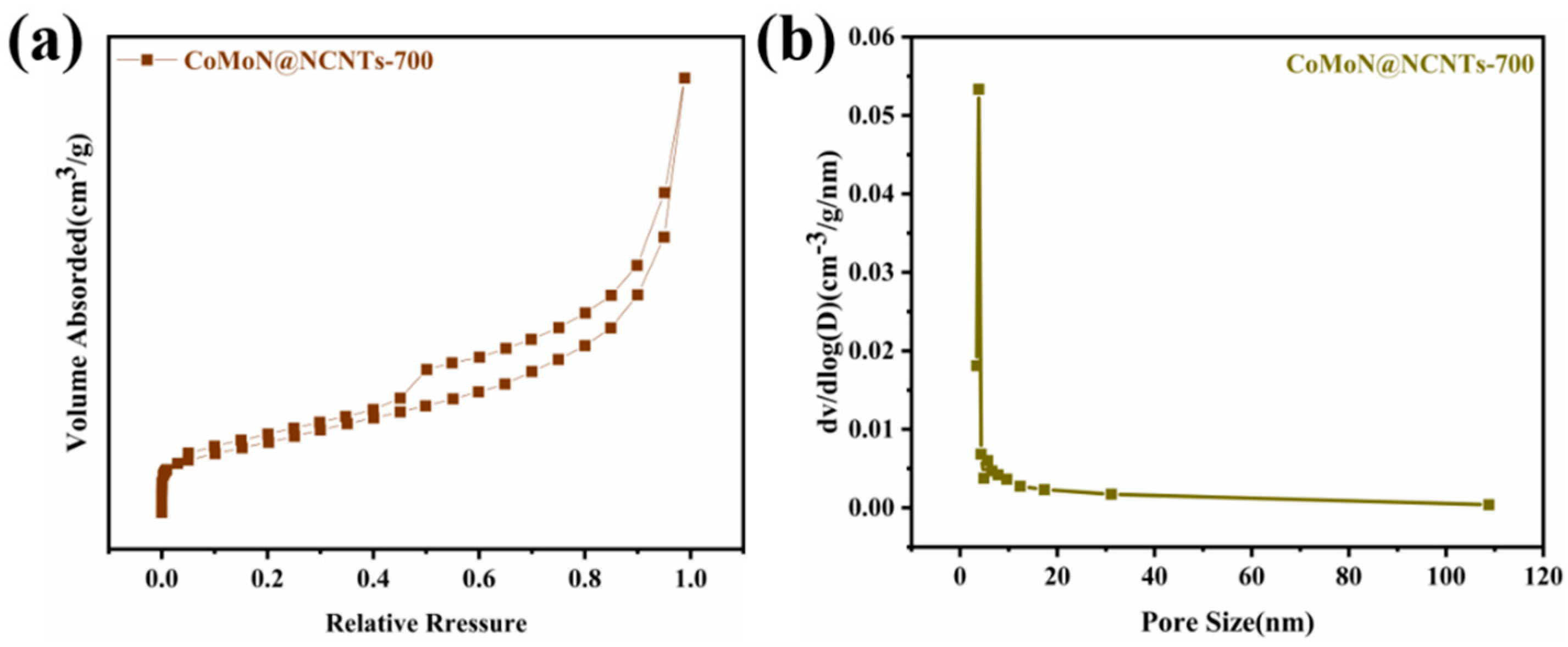 Catalysts 13 00801 g006