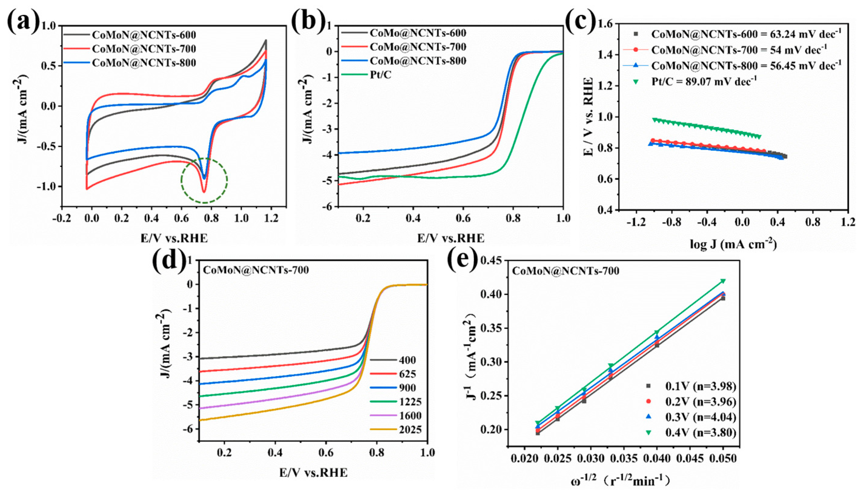 Catalysts 13 00801 g007