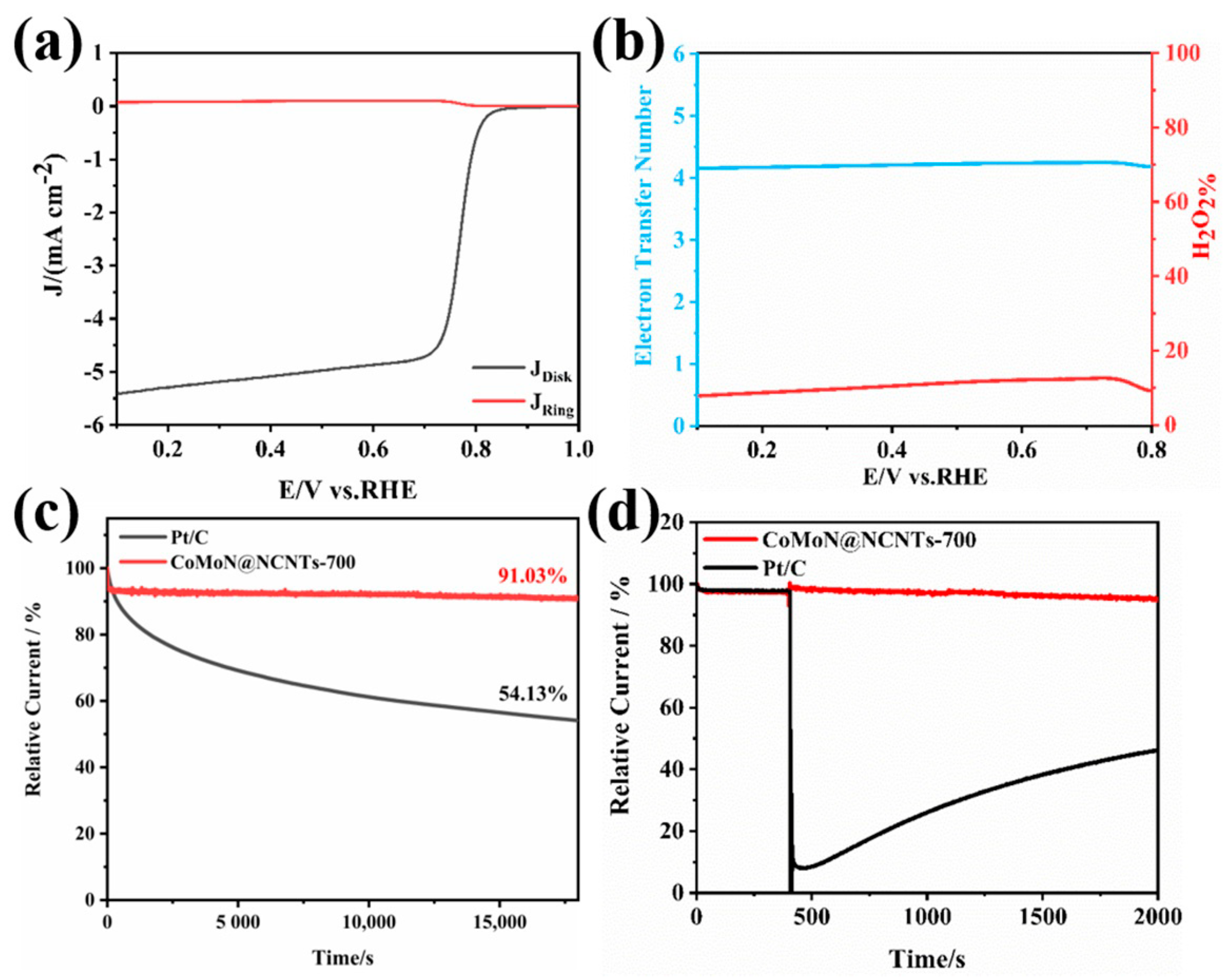 Catalysts 13 00801 g008