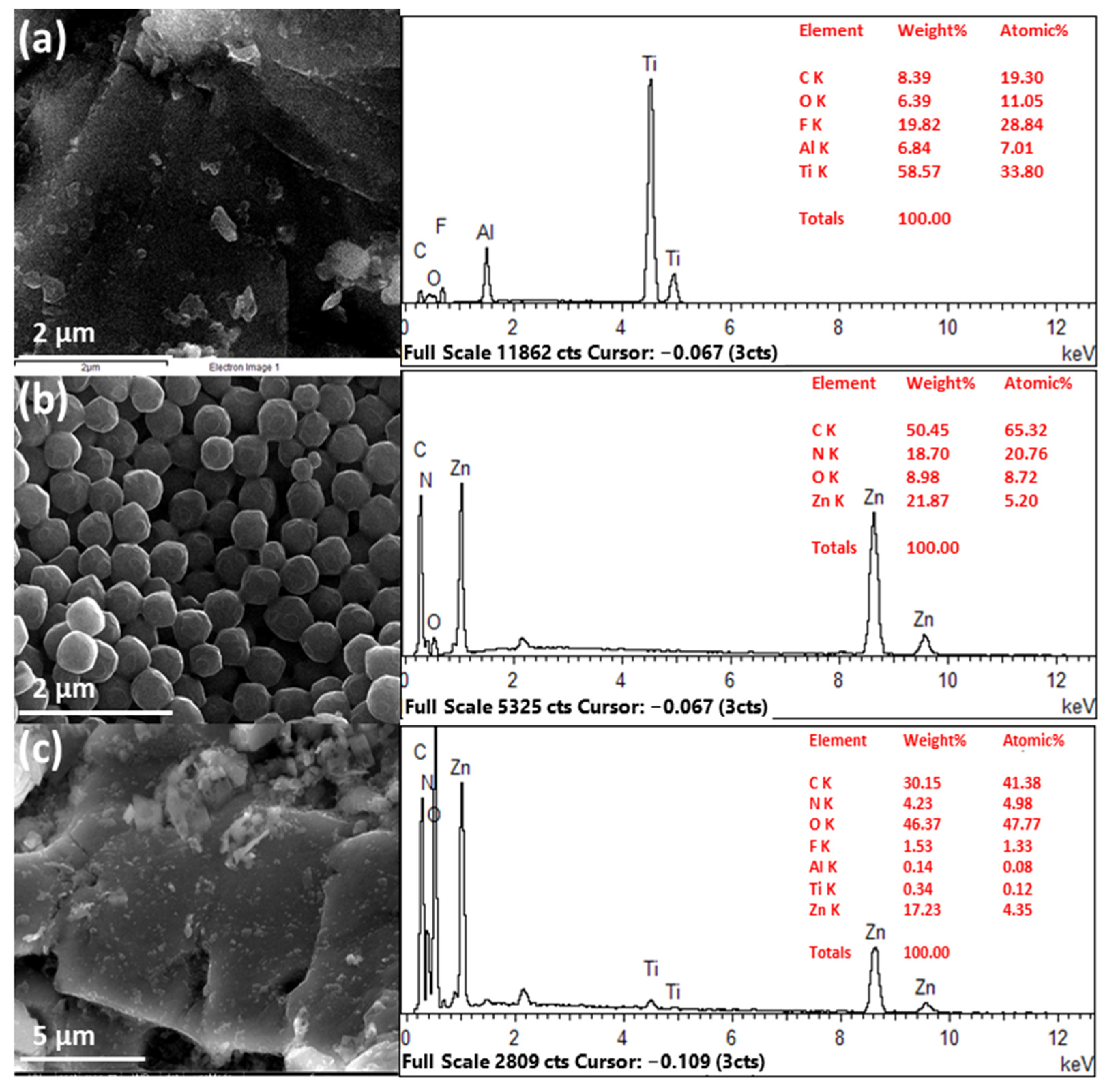 Catalysts 13 00802 g002