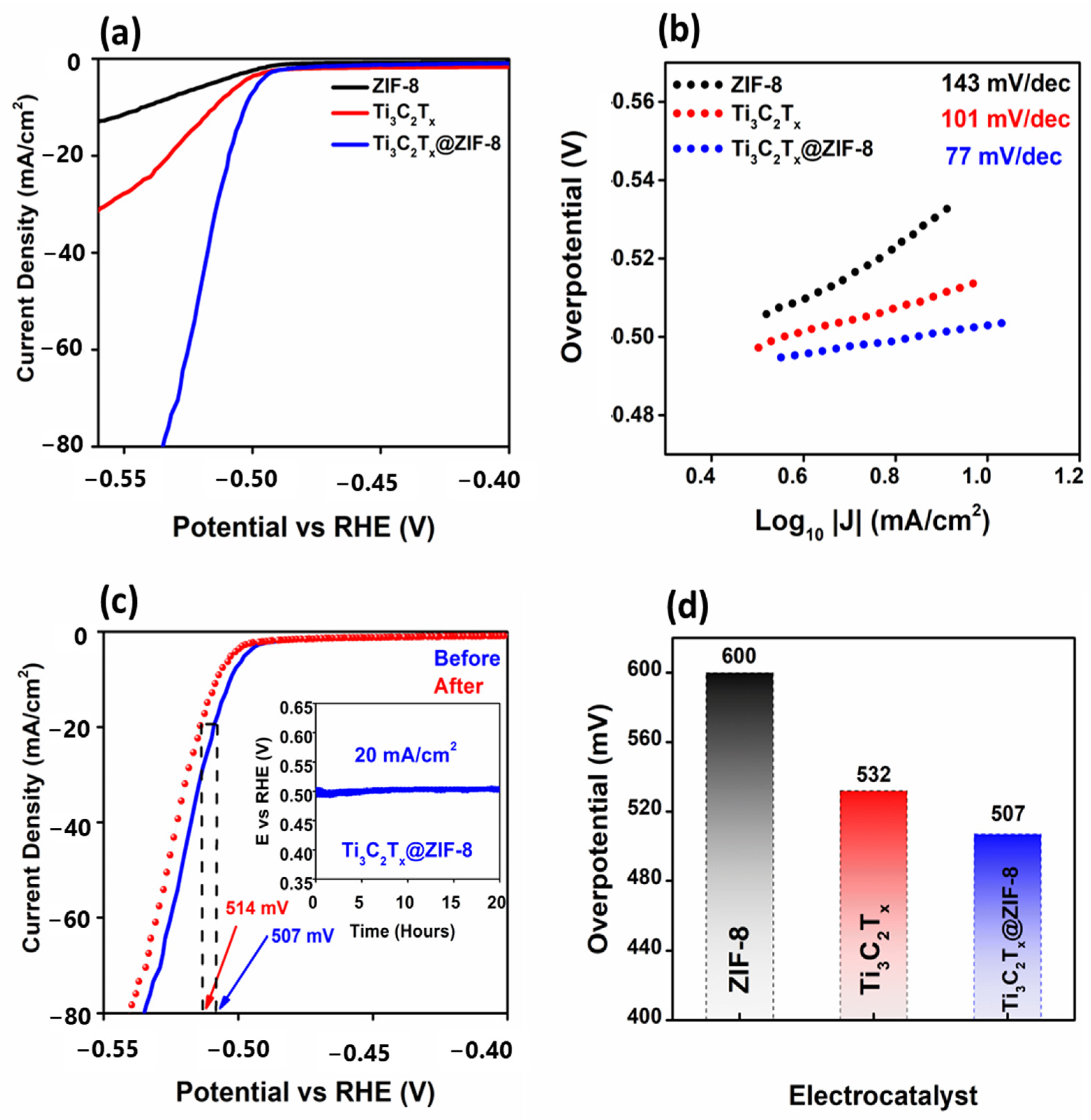 Catalysts 13 00802 g006