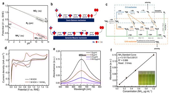 Catalysts 13 00803 g001