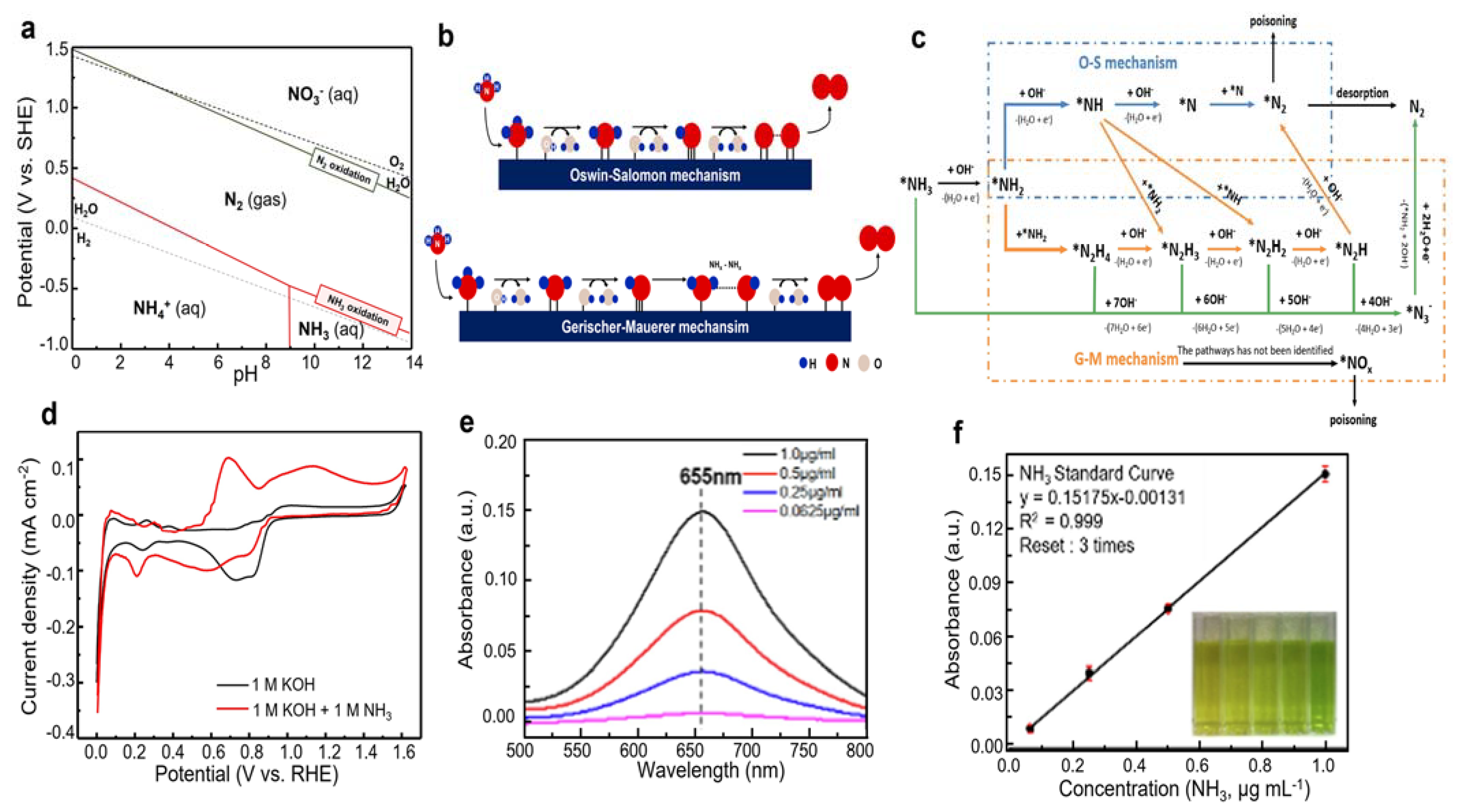 Catalysts 13 00803 g001