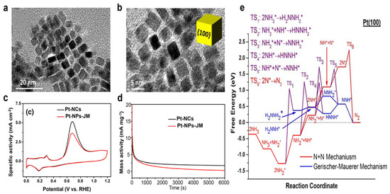 Catalysts 13 00803 g003