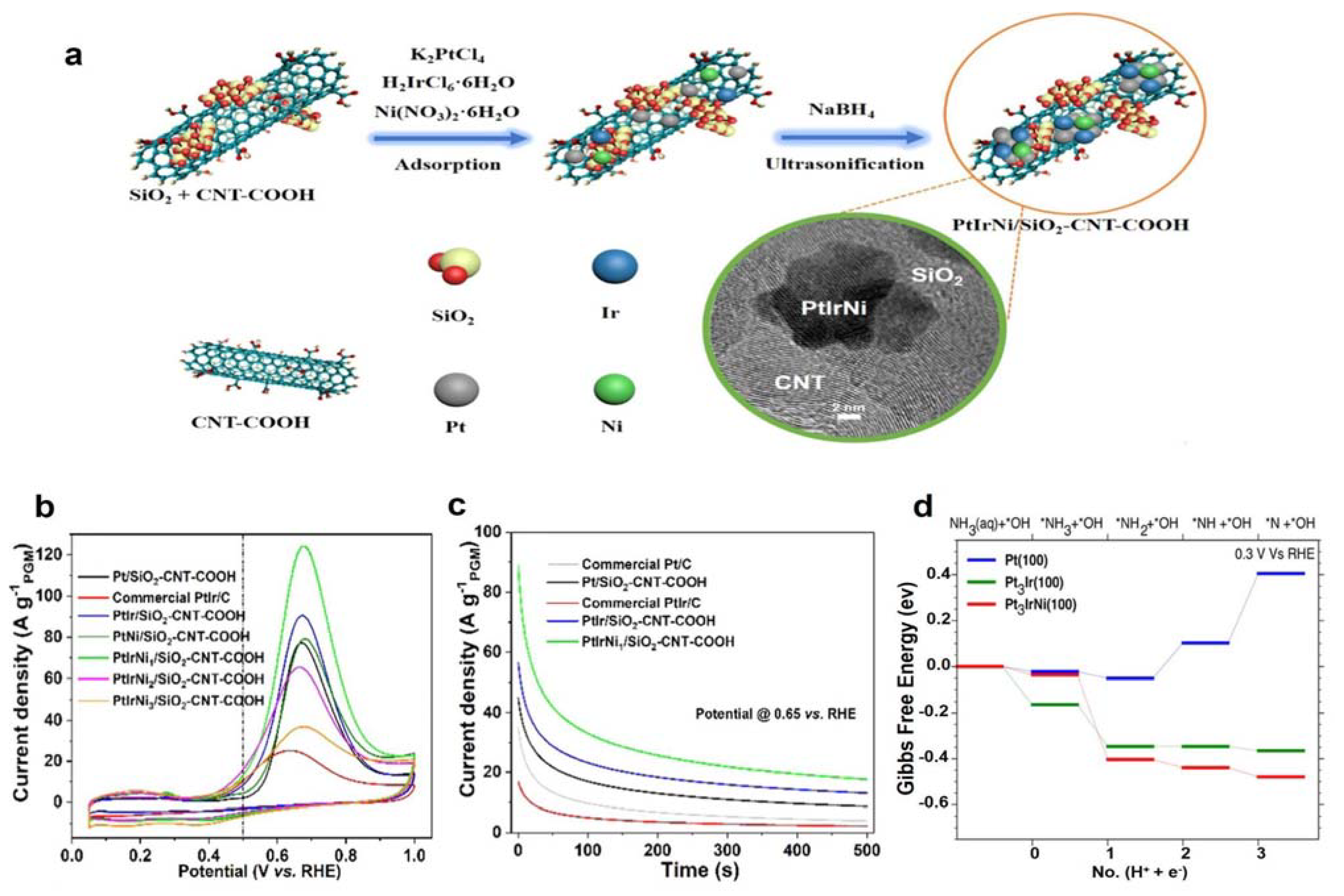 Catalysts 13 00803 g005
