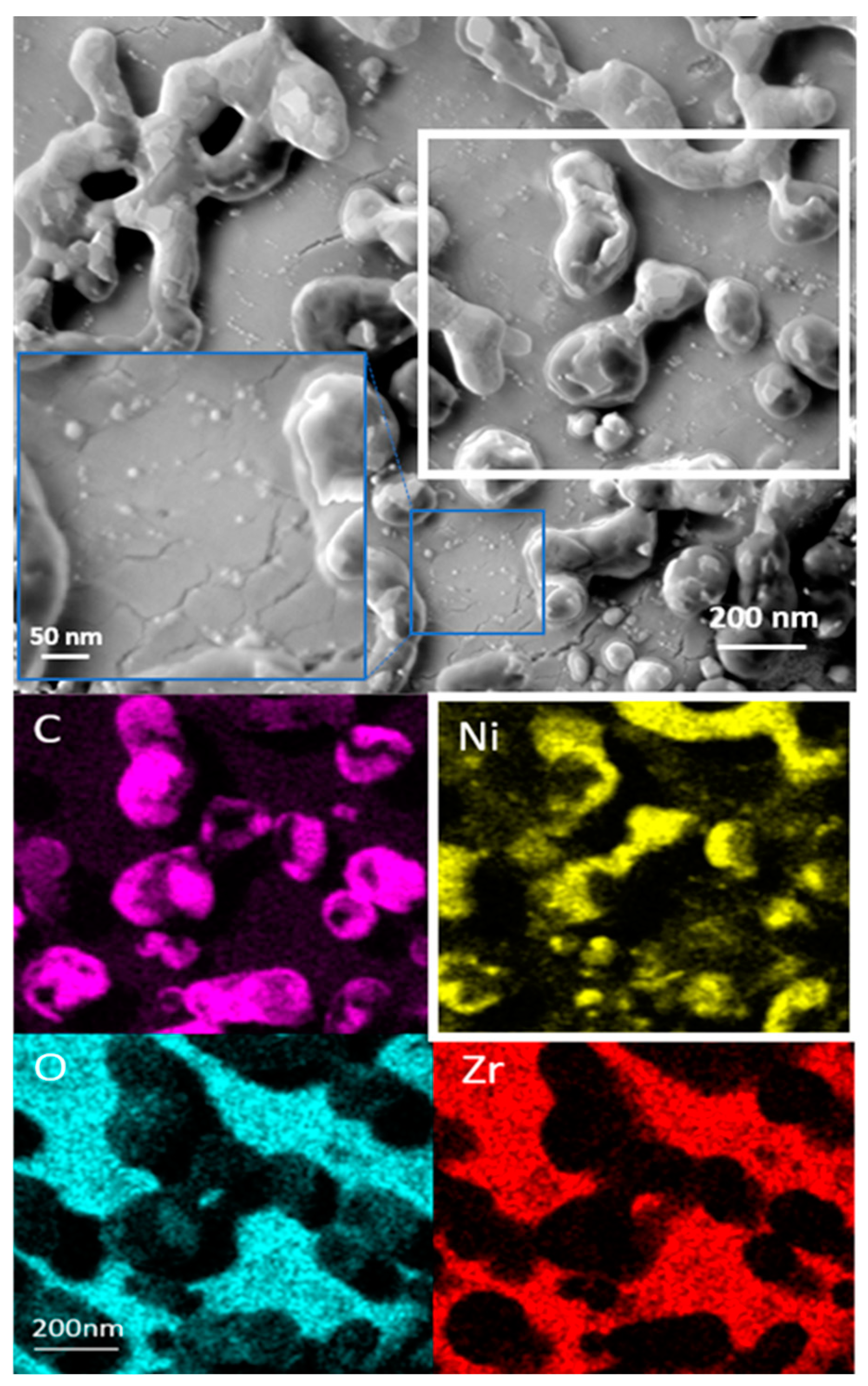 Catalysts 13 00804 g007