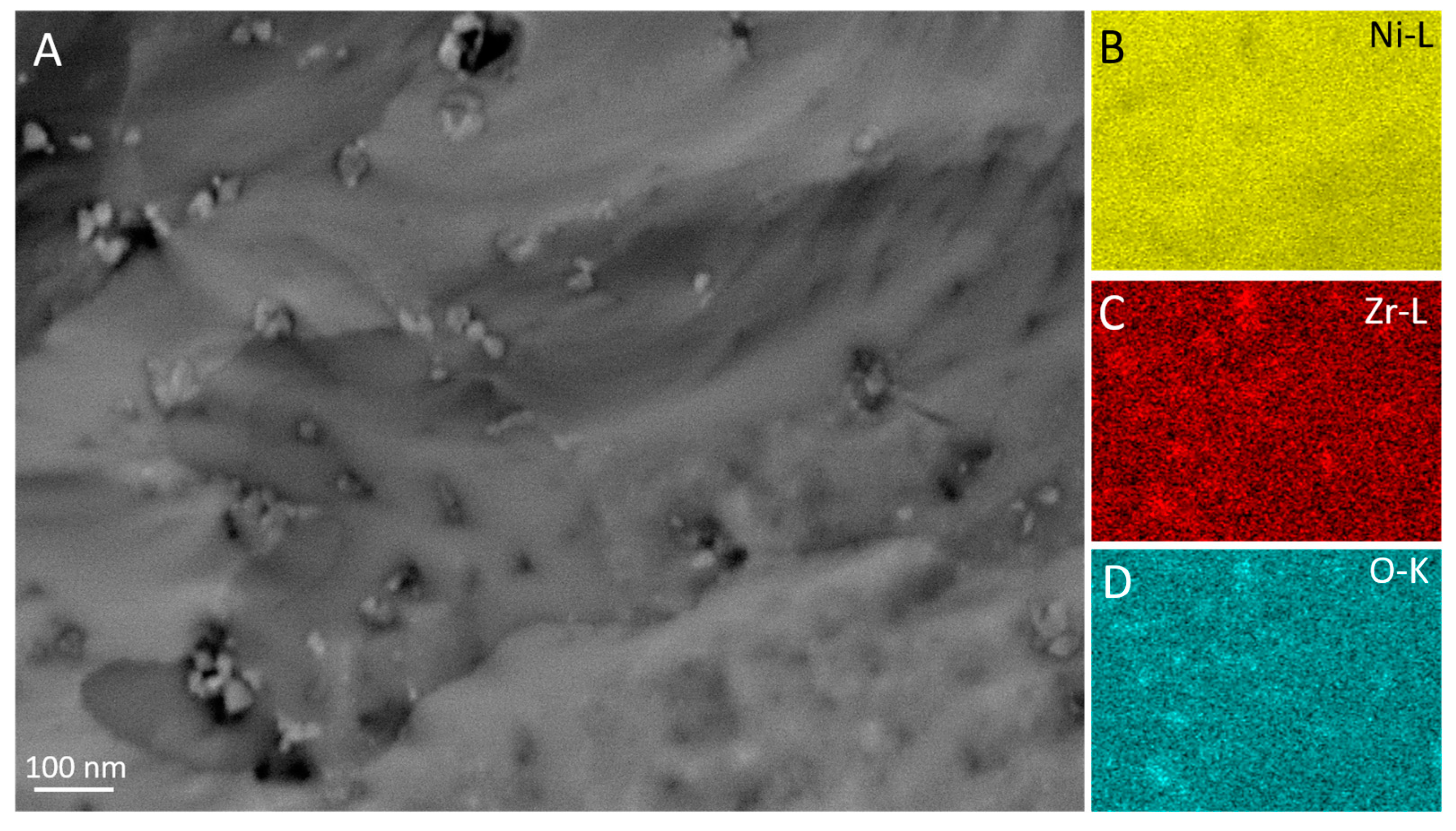 Catalysts 13 00804 g008