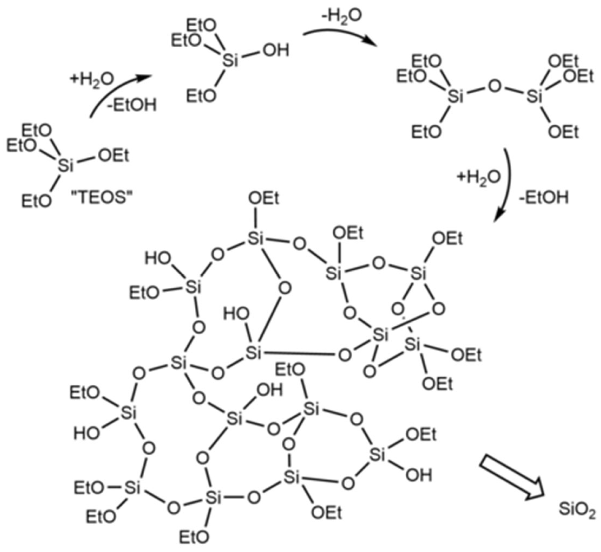 Catalysts 13 00810 g001 Catalysts 13 00810 g001