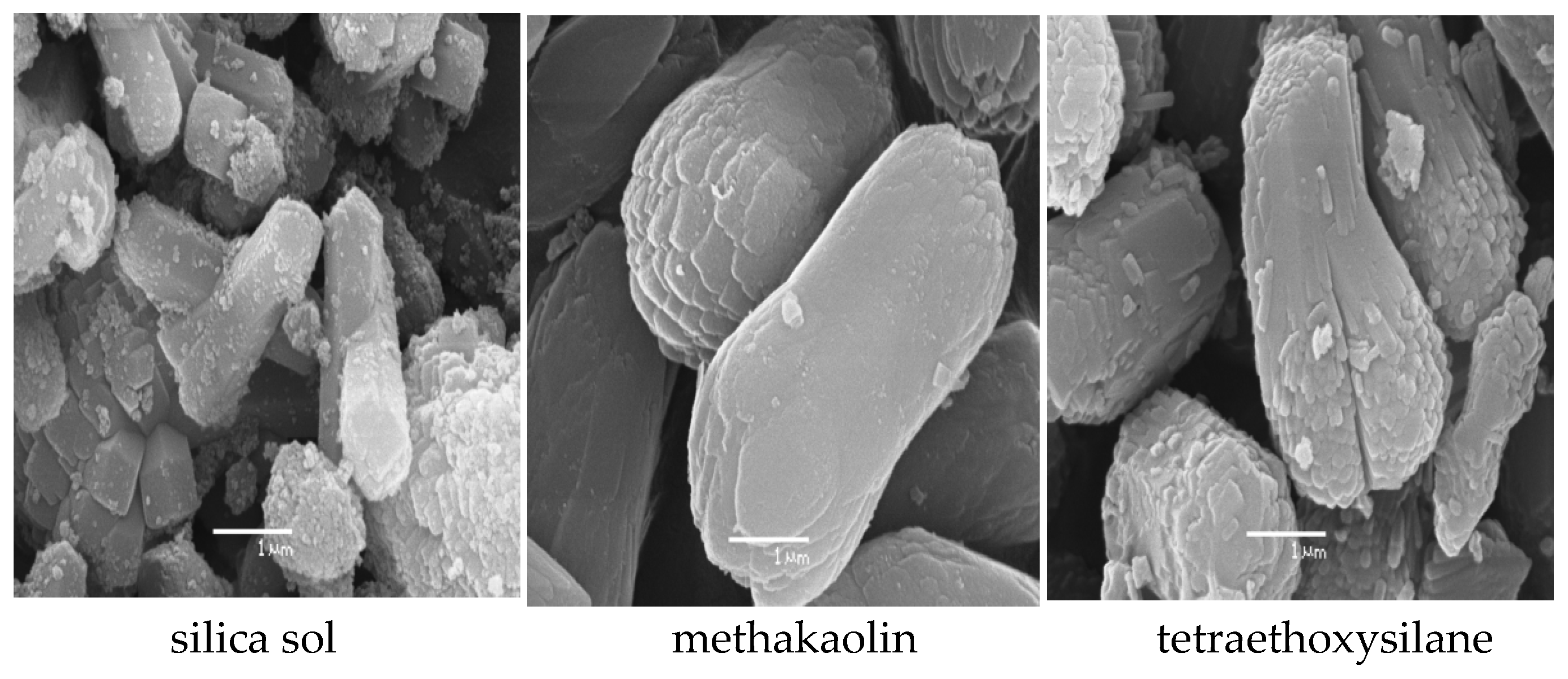 Catalysts 13 00810 g002 Catalysts 13 00810 g002