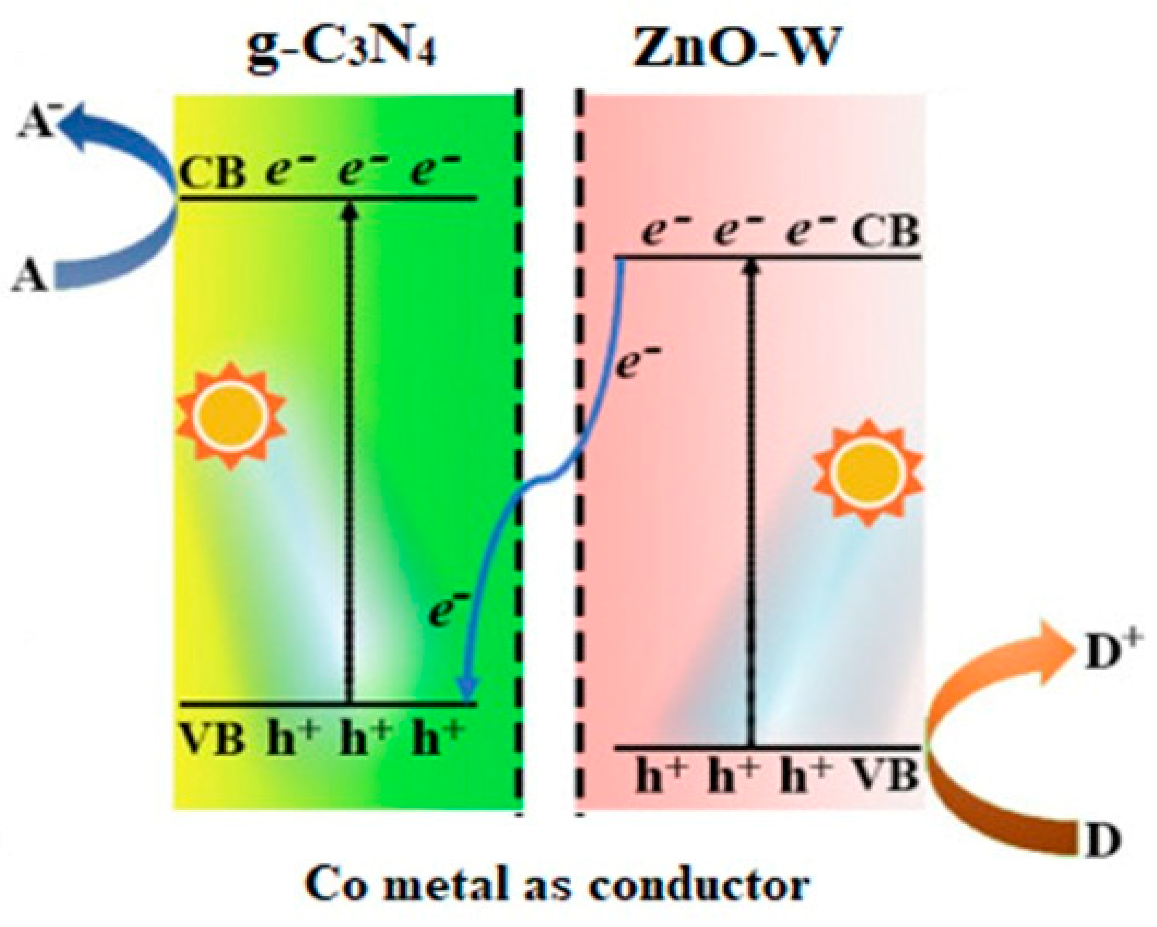 Catalysts 13 00813 g008 Catalysts 13 00813 g008