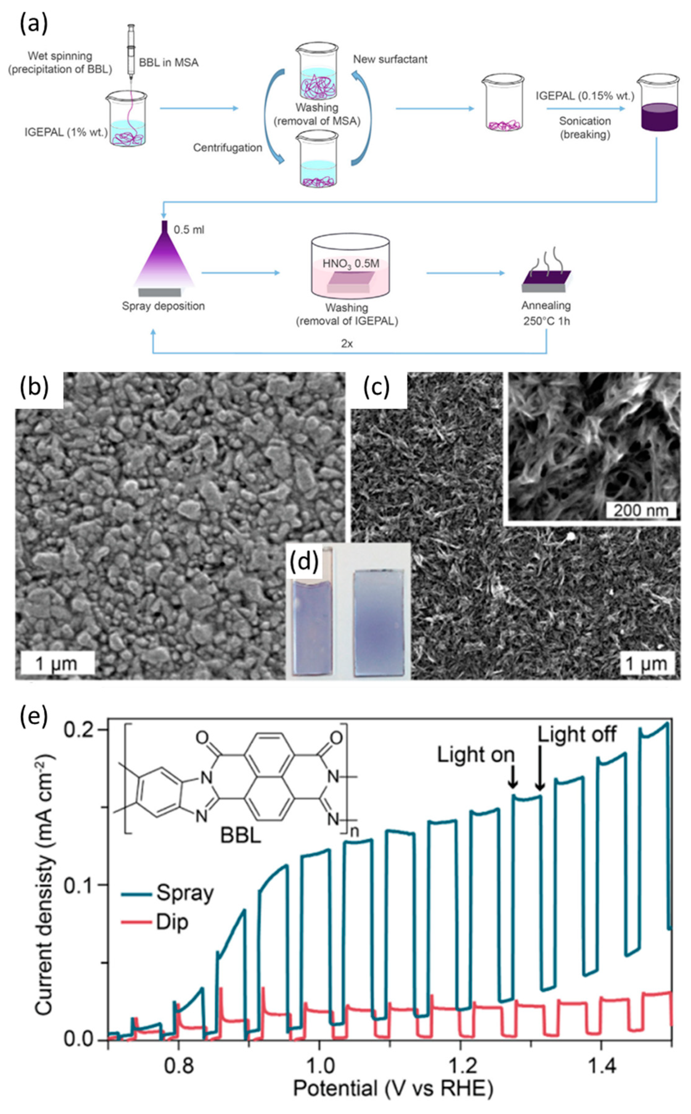 Catalysts 13 00814 g004