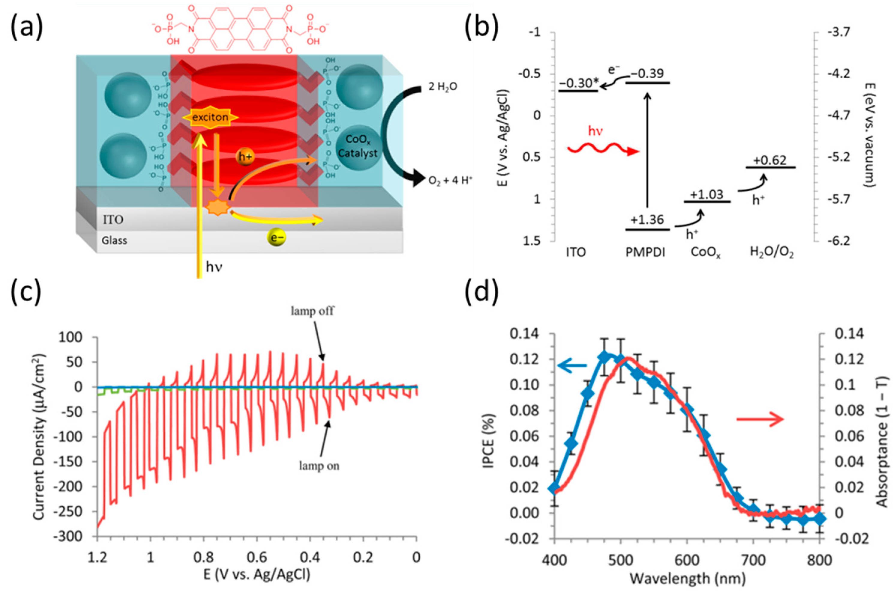 Catalysts 13 00814 g005