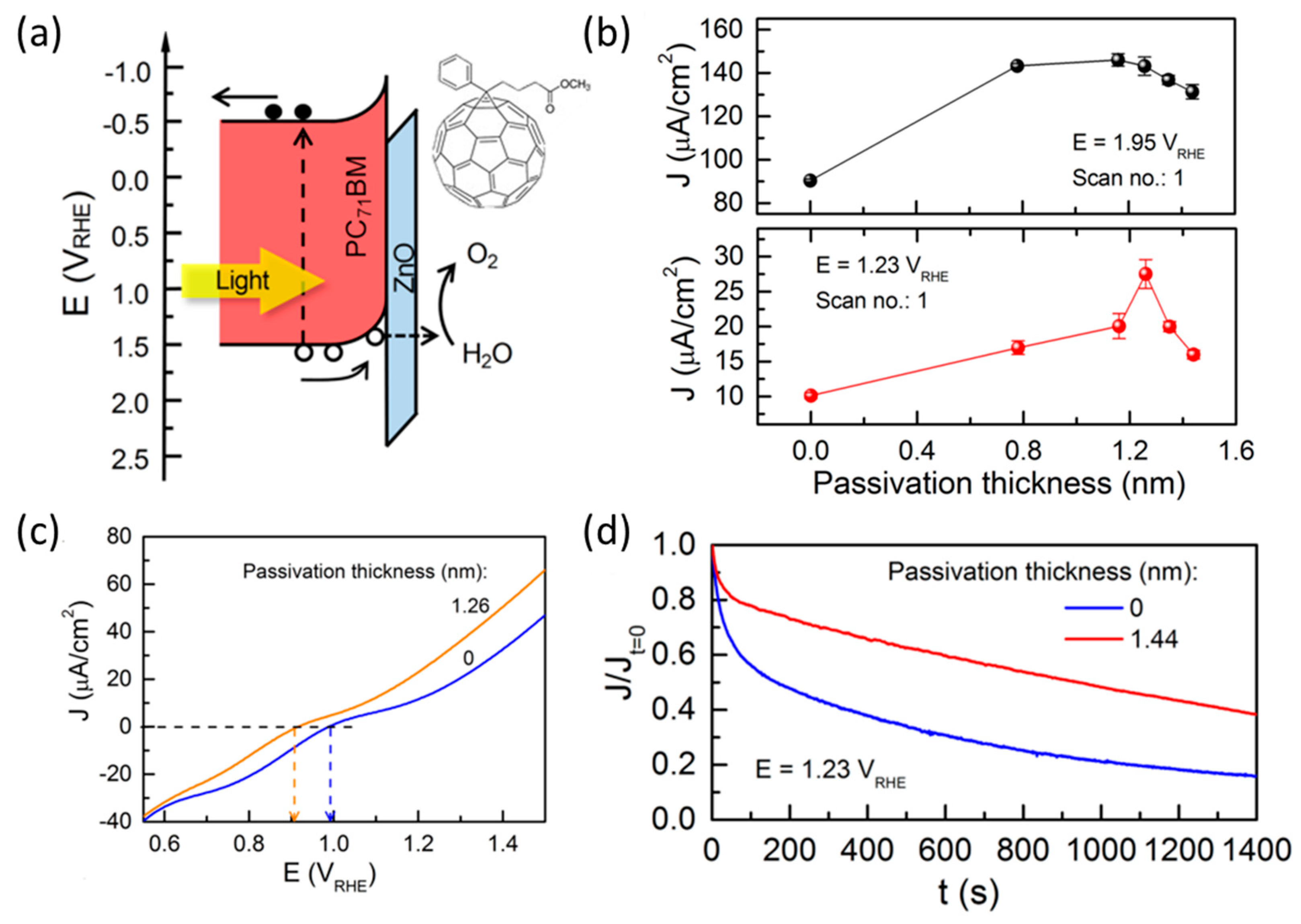Catalysts 13 00814 g006