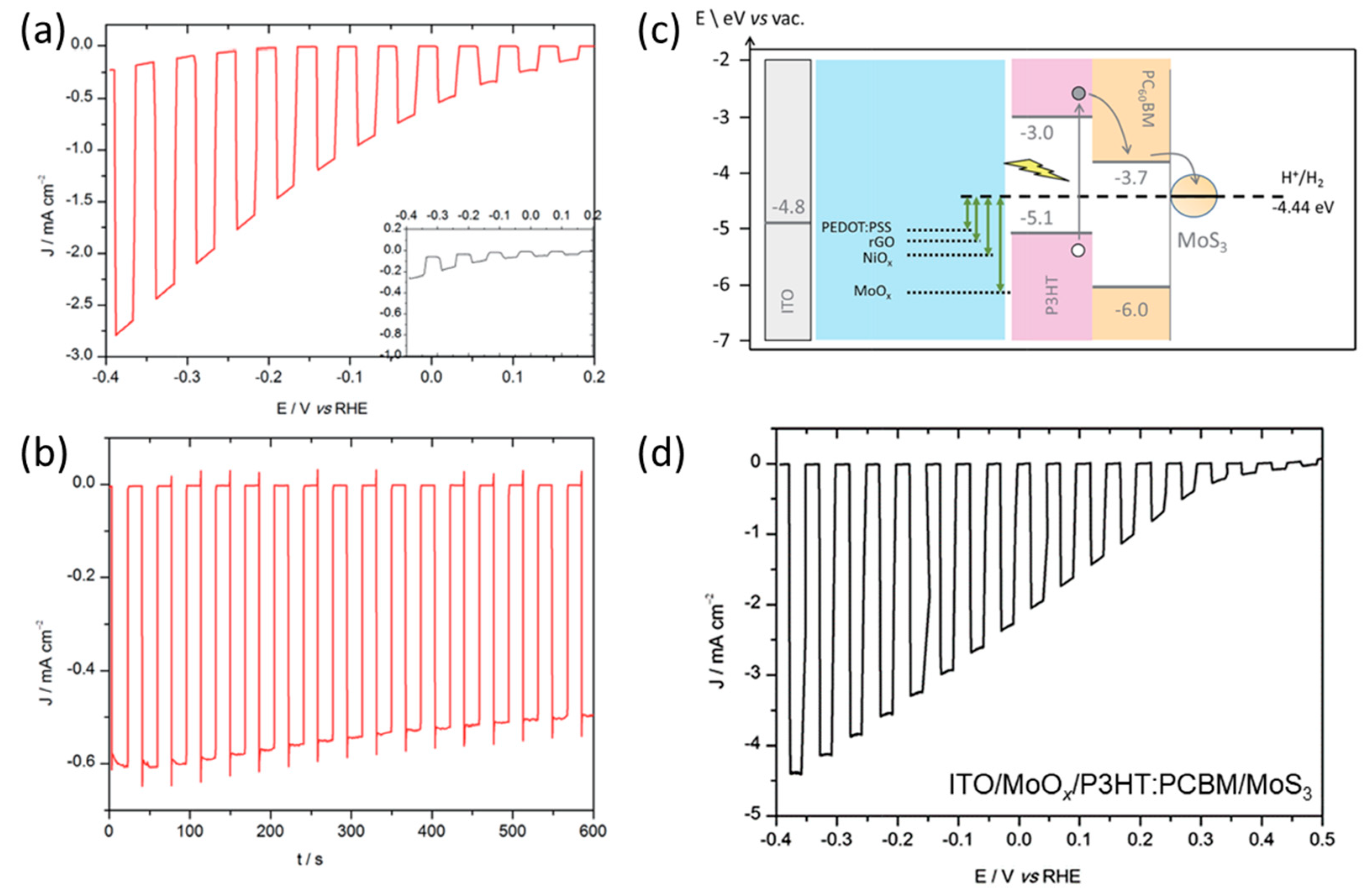 Catalysts 13 00814 g008