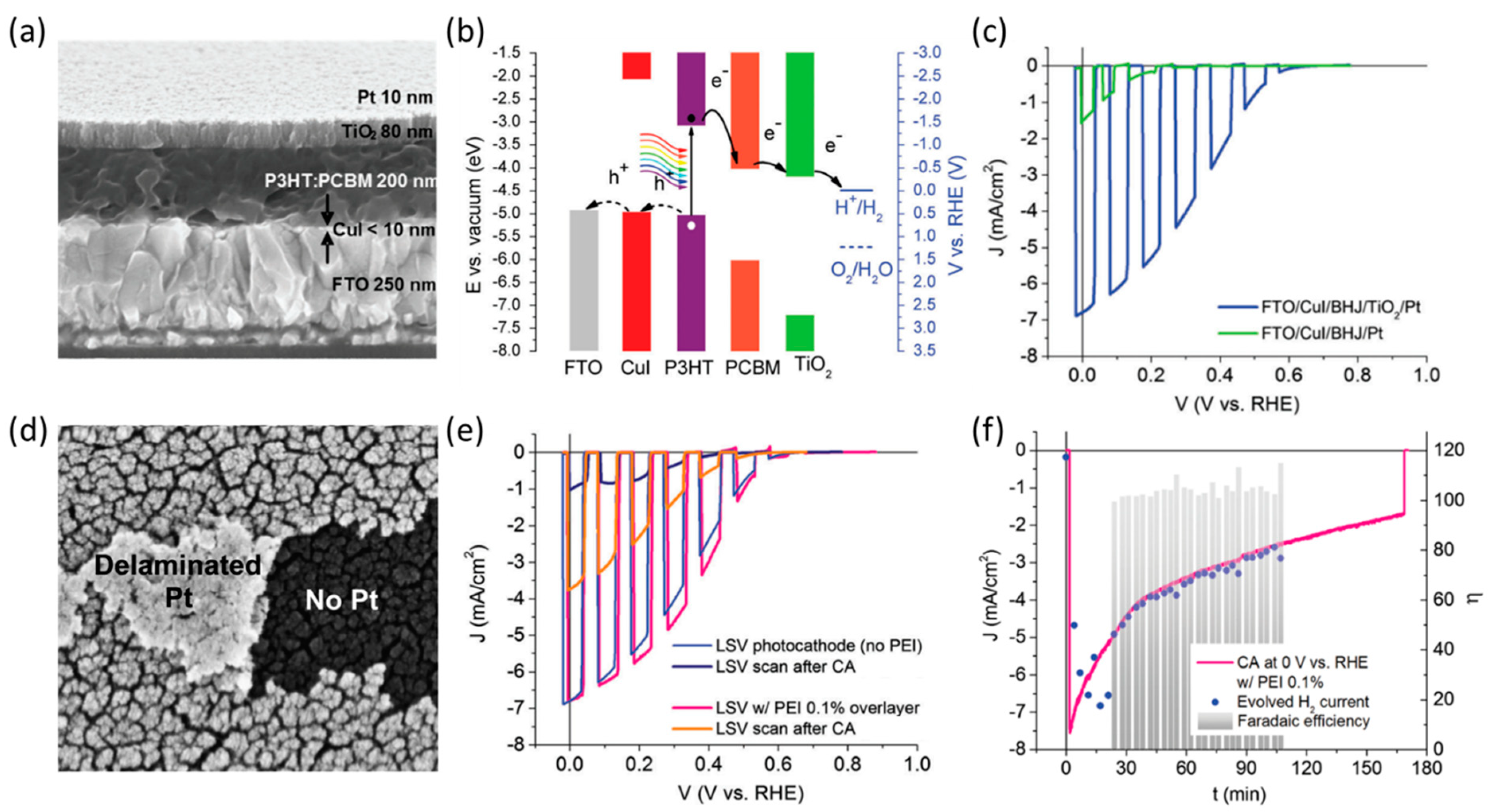 Catalysts 13 00814 g010