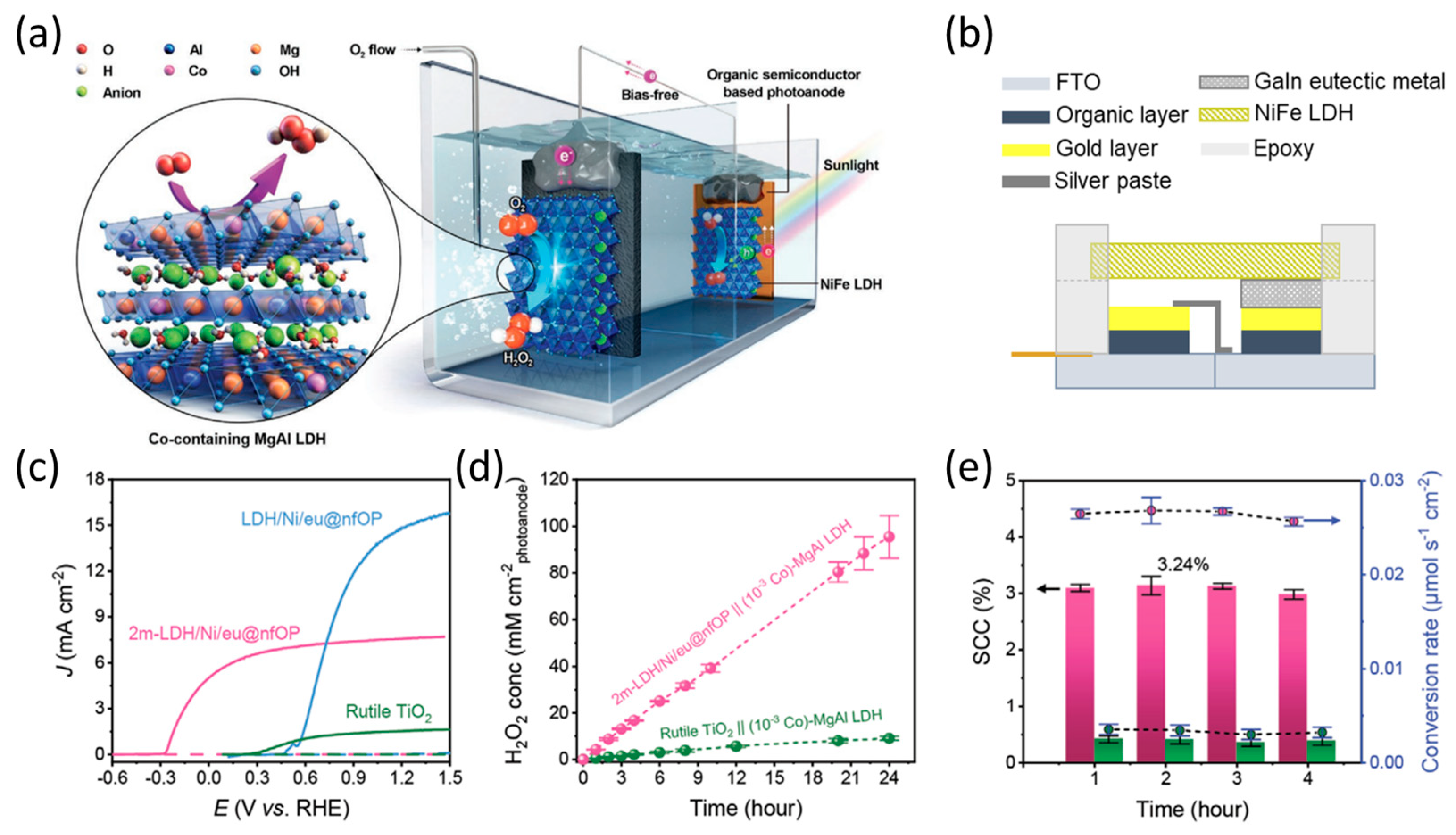 Catalysts 13 00814 g017