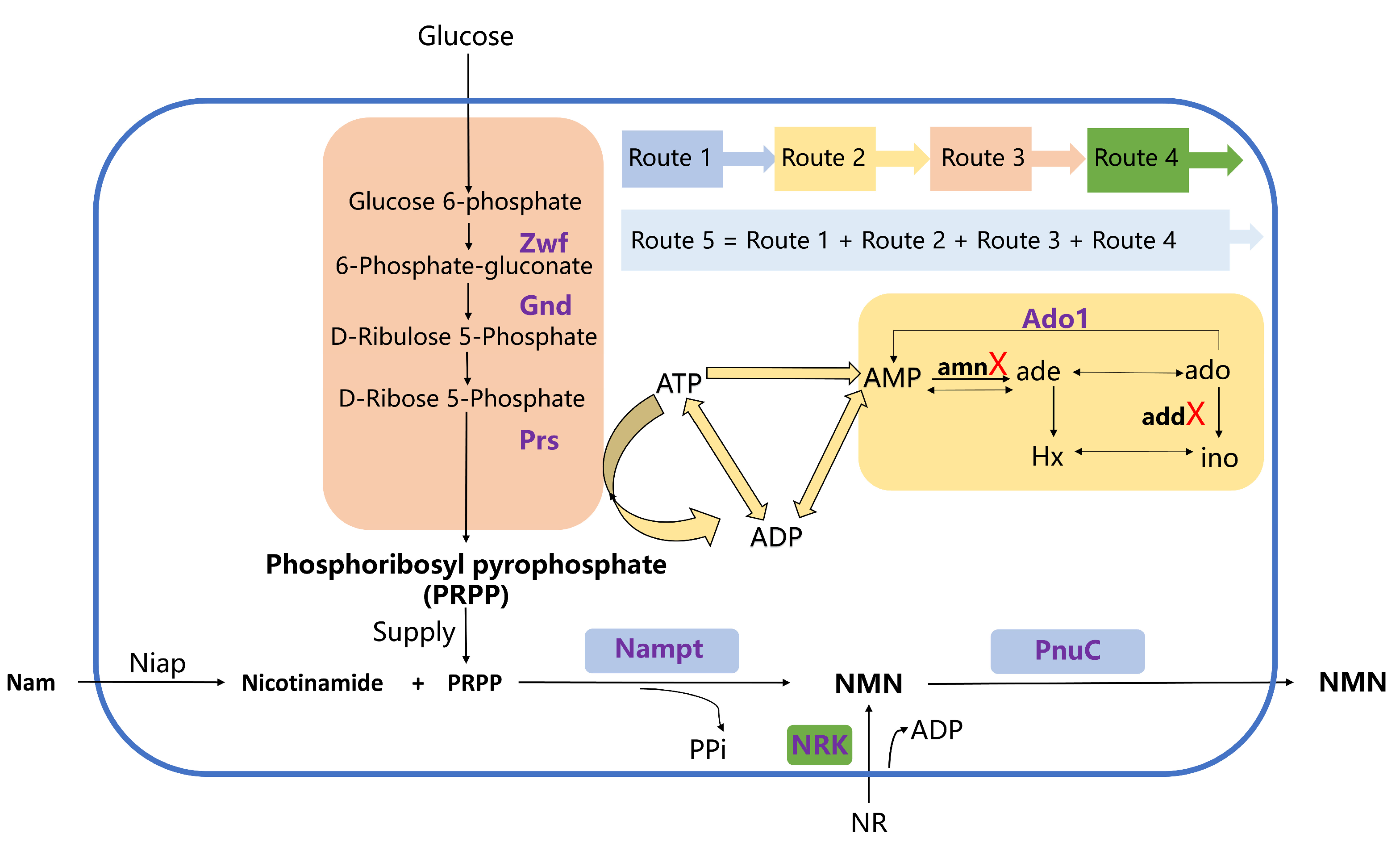 Catalysts 13 00815 g001