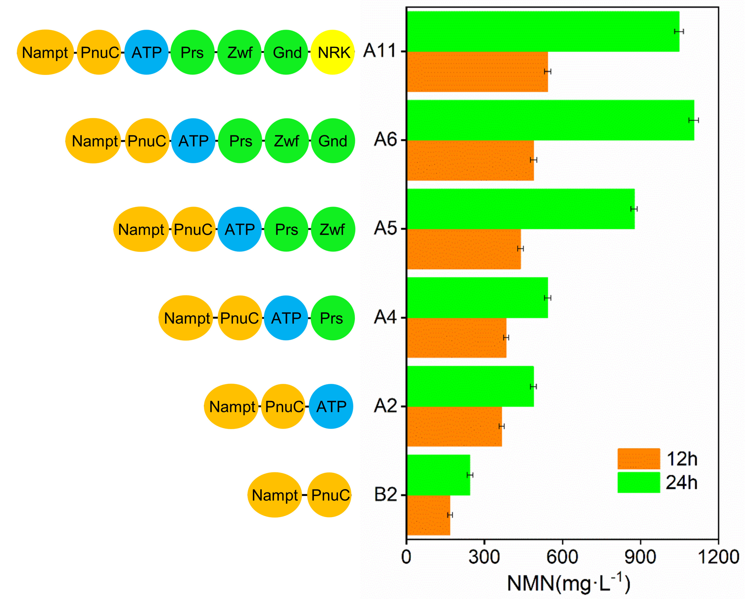 Catalysts 13 00815 g005