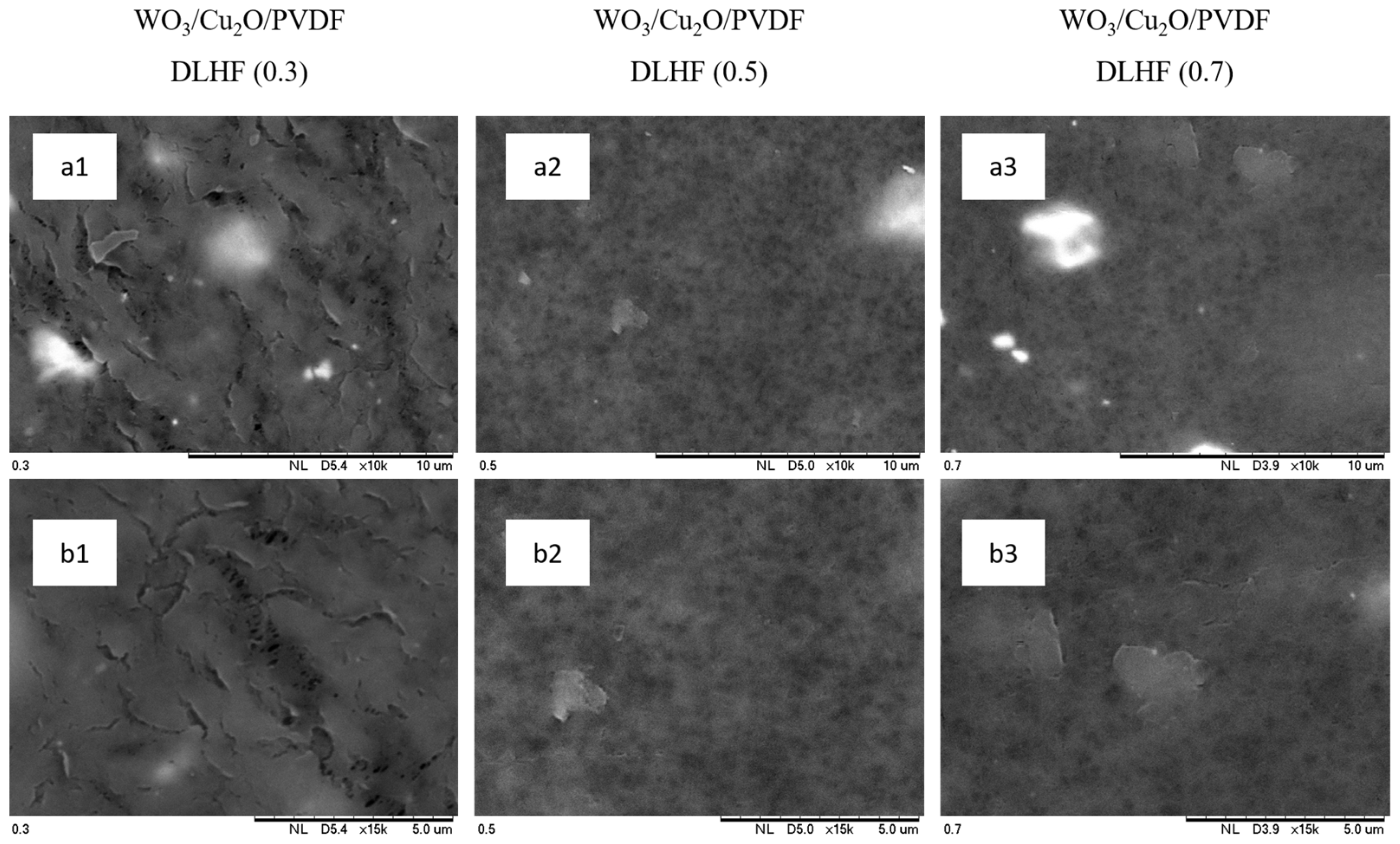 Catalysts 13 00816 g002