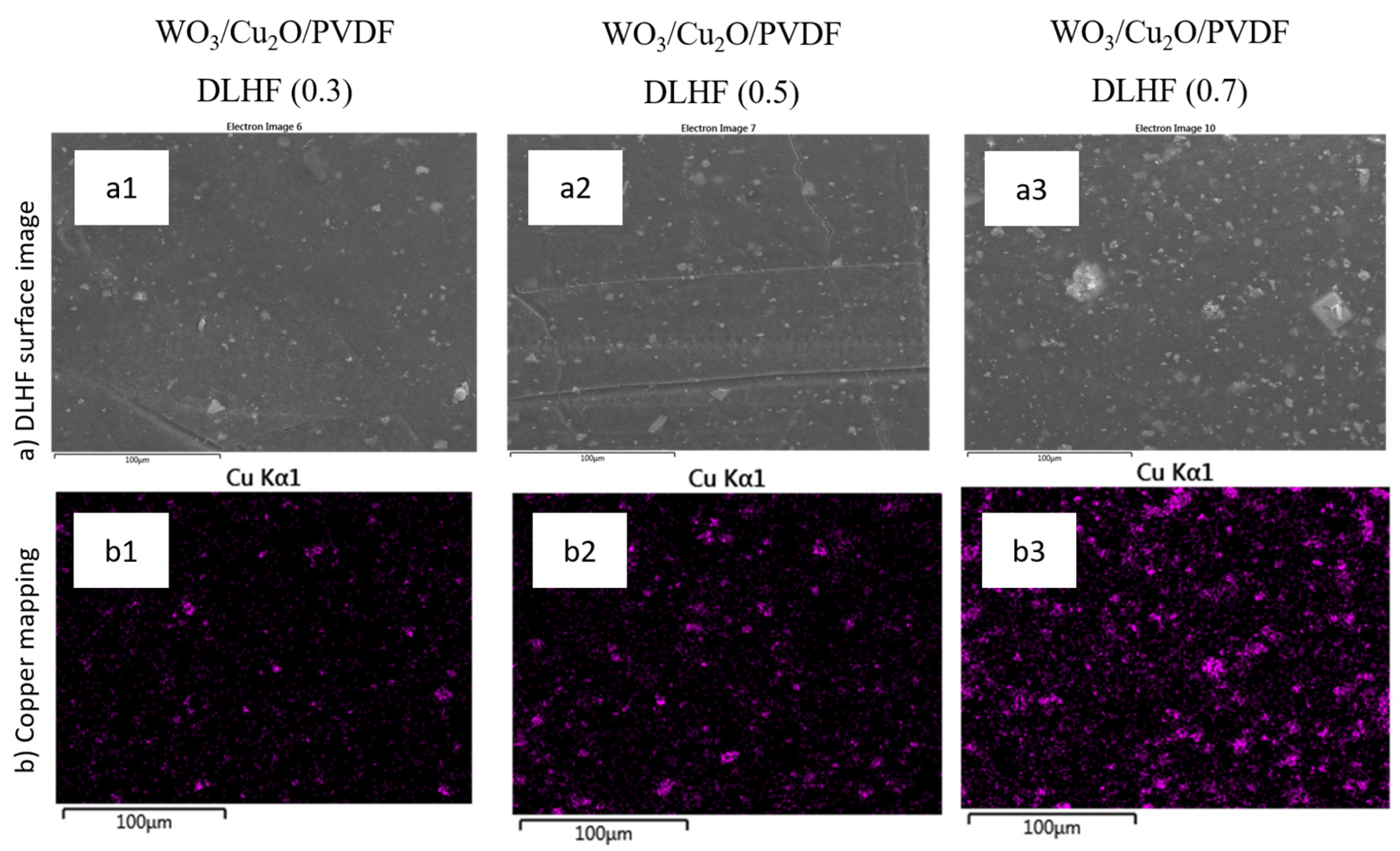 Catalysts 13 00816 g003