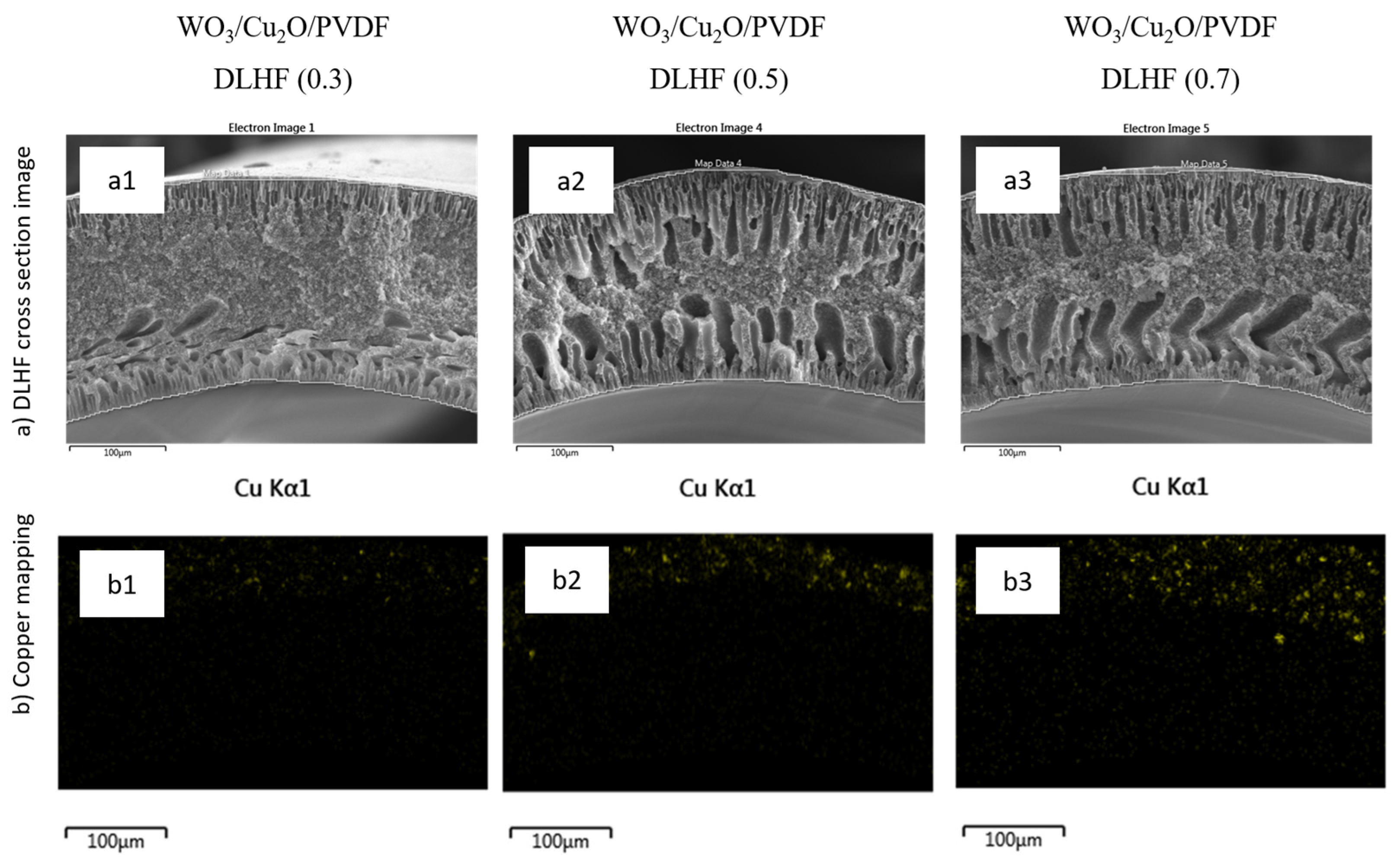 Catalysts 13 00816 g004