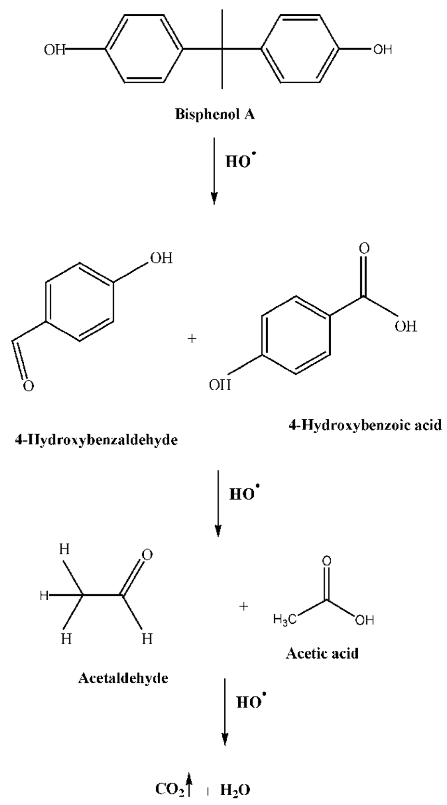 Catalysts 13 00816 g006