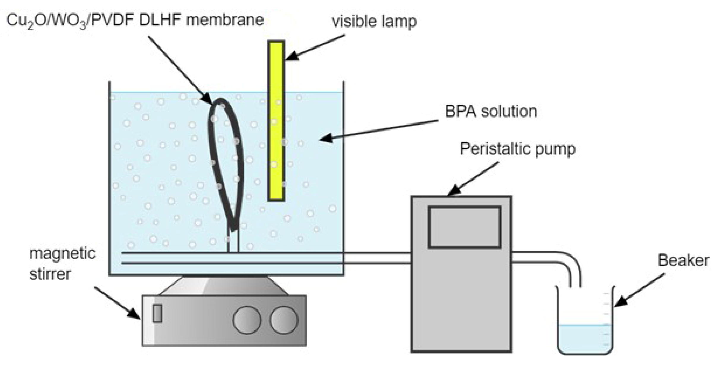 Catalysts 13 00816 g009