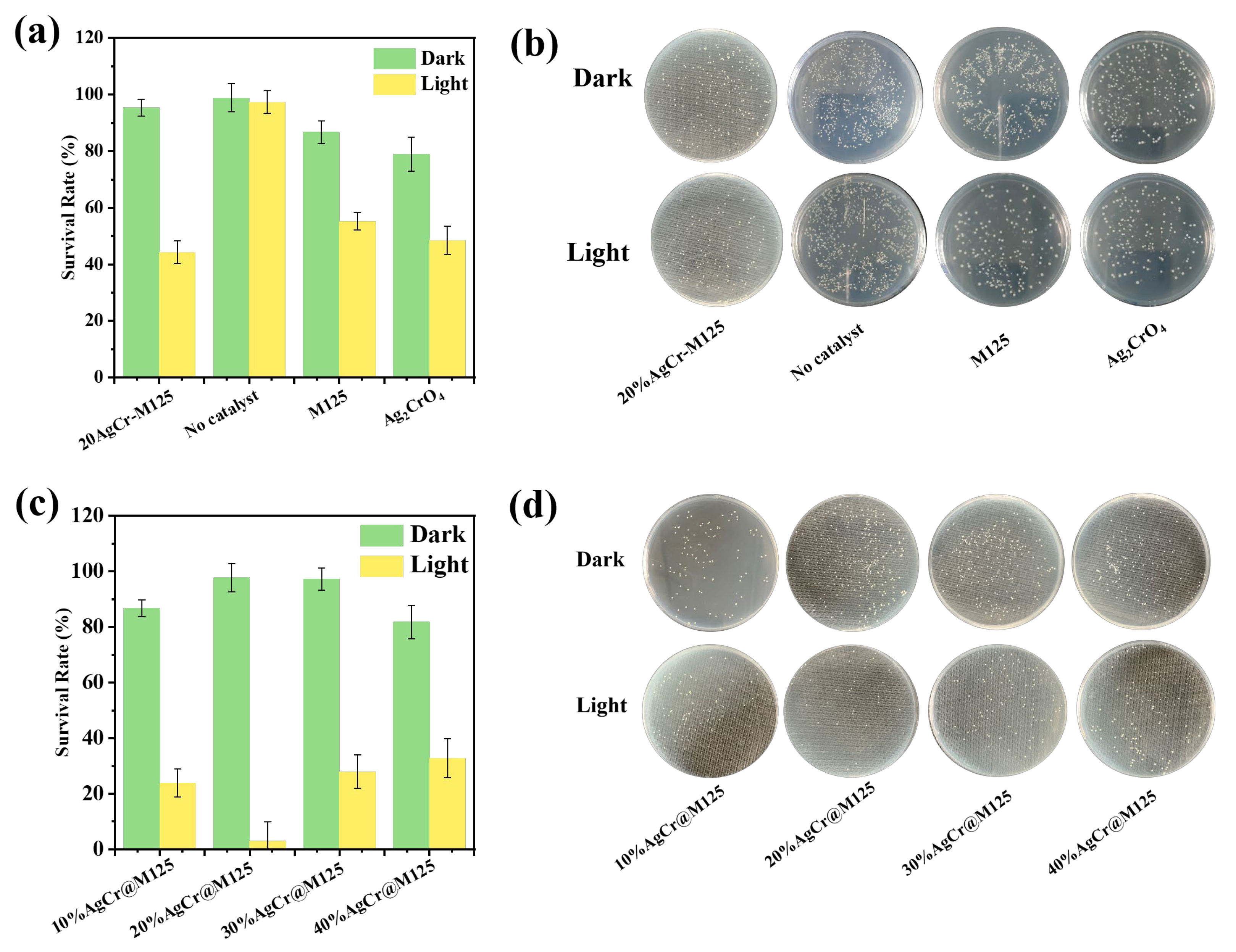 Catalysts 13 00817 g006