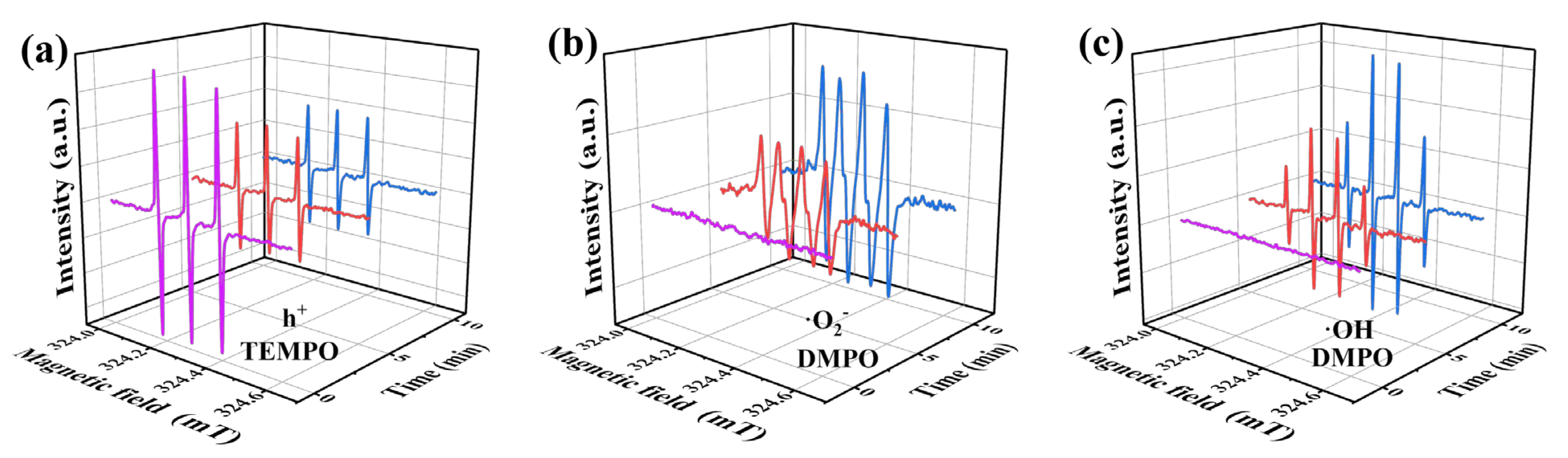 Catalysts 13 00817 g008