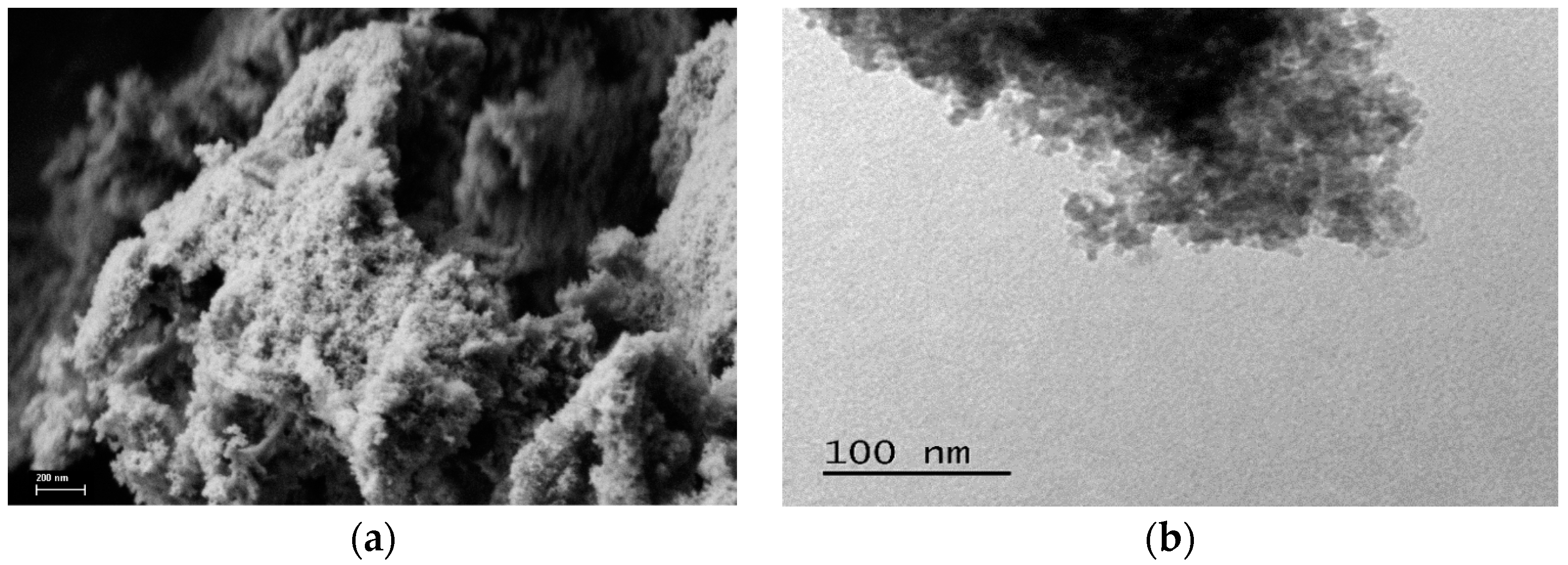 Catalysts 13 00818 g002