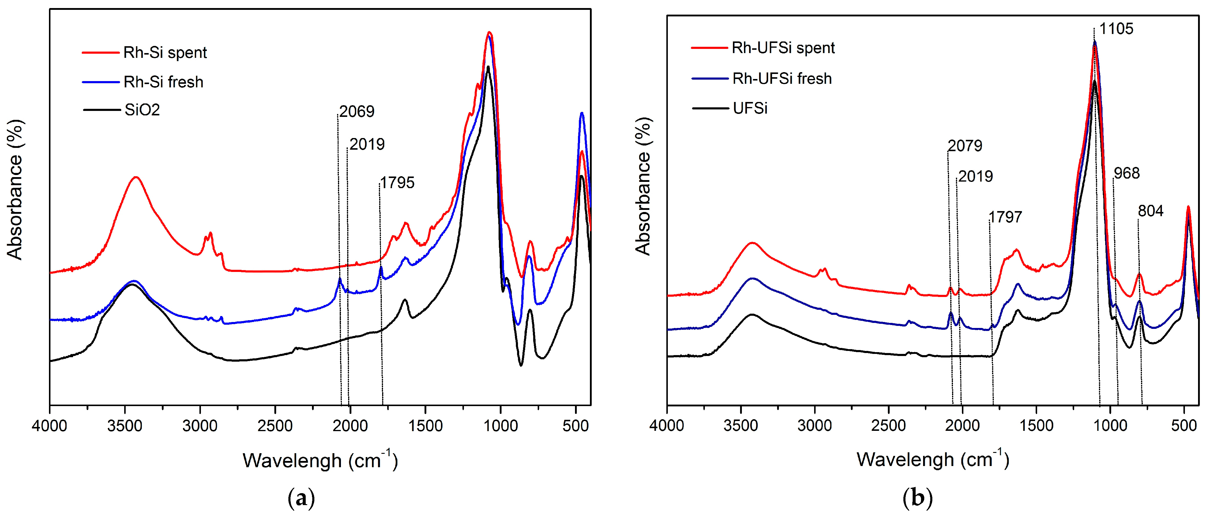 Catalysts 13 00818 g004