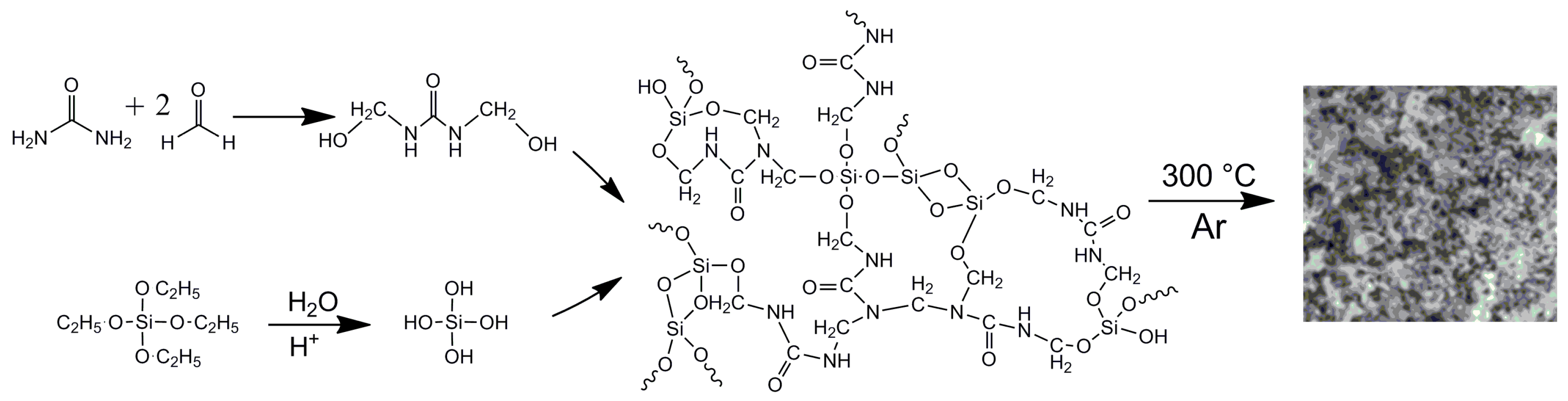 Catalysts 13 00818 sch001