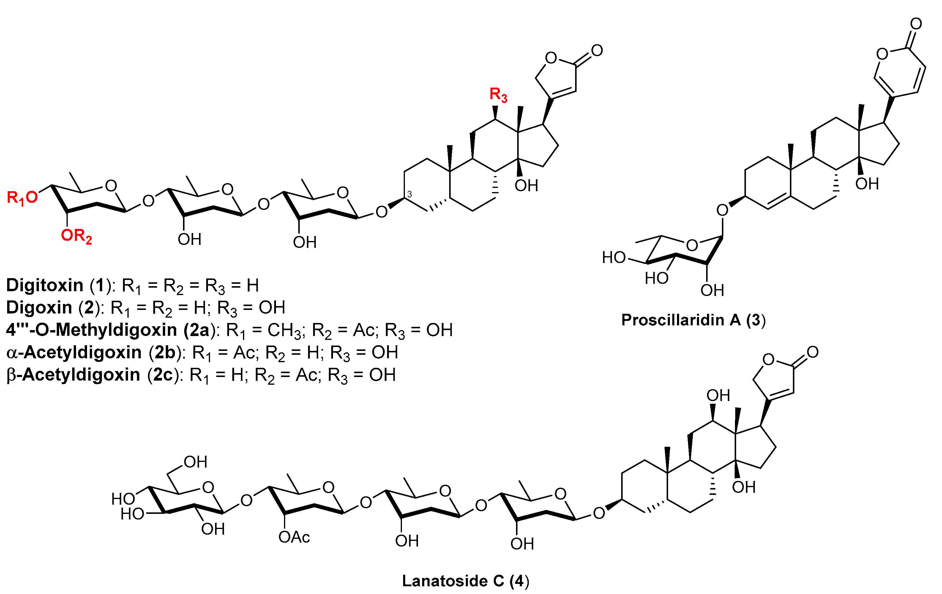 Catalysts 13 00819 g001 Catalysts 13 00819 g001