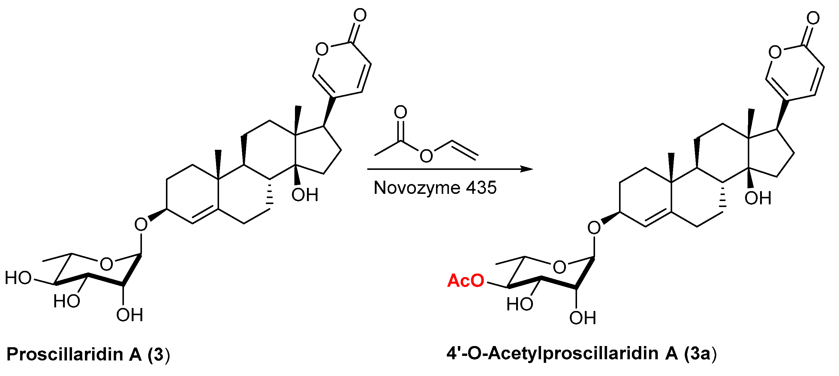 Catalysts 13 00819 sch001 Catalysts 13 00819 sch001