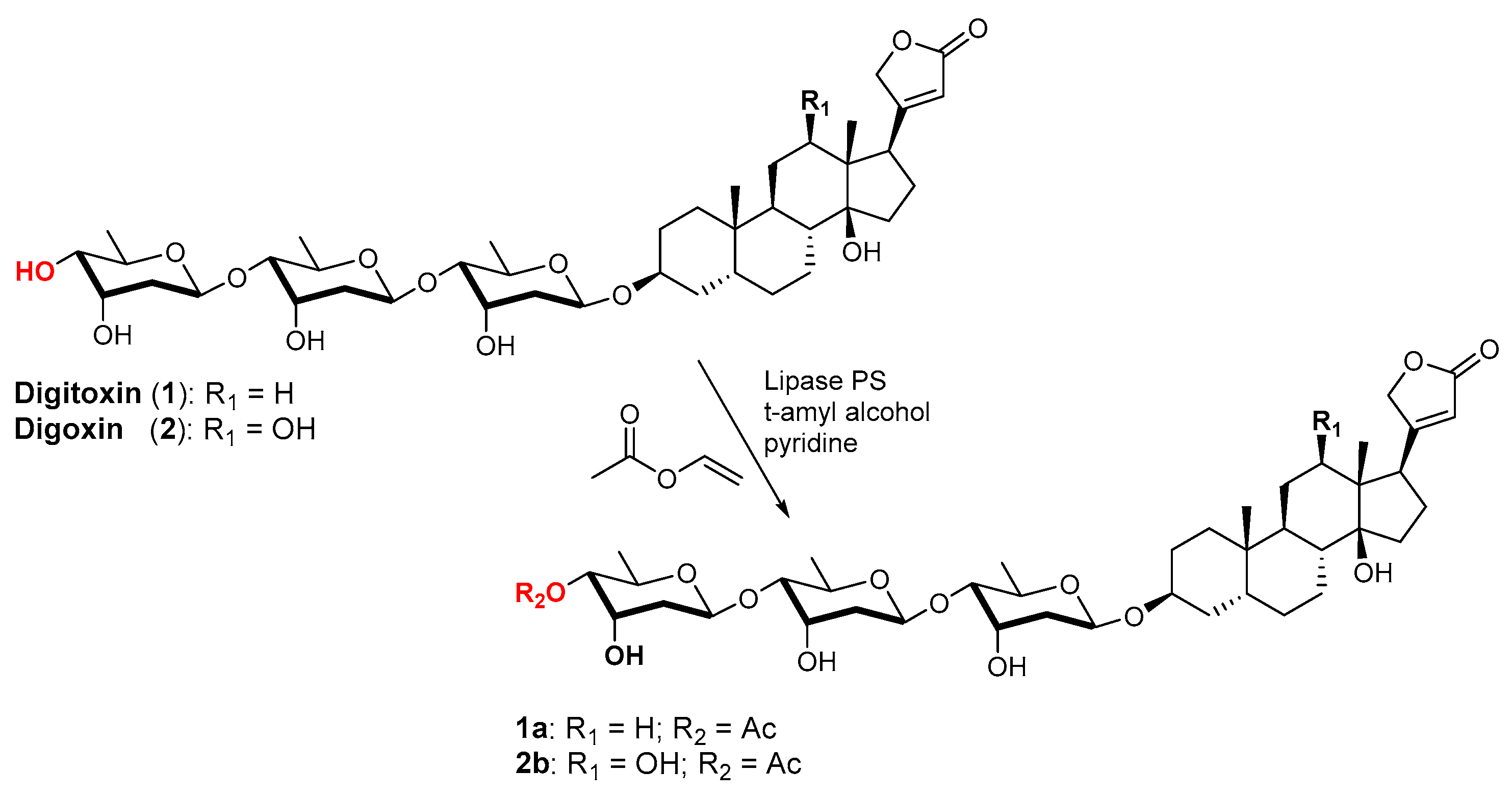Catalysts 13 00819 sch002 Catalysts 13 00819 sch002