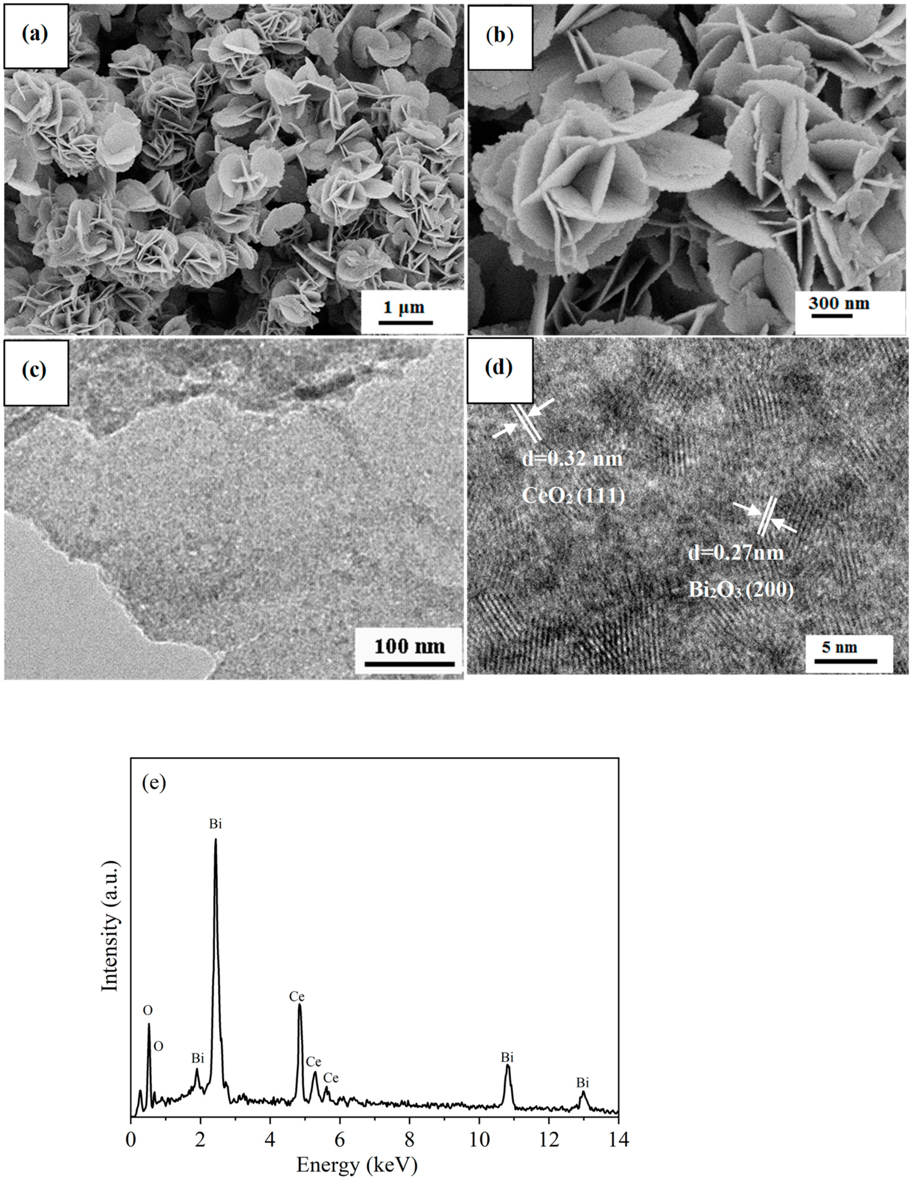 Catalysts 13 00821 g003