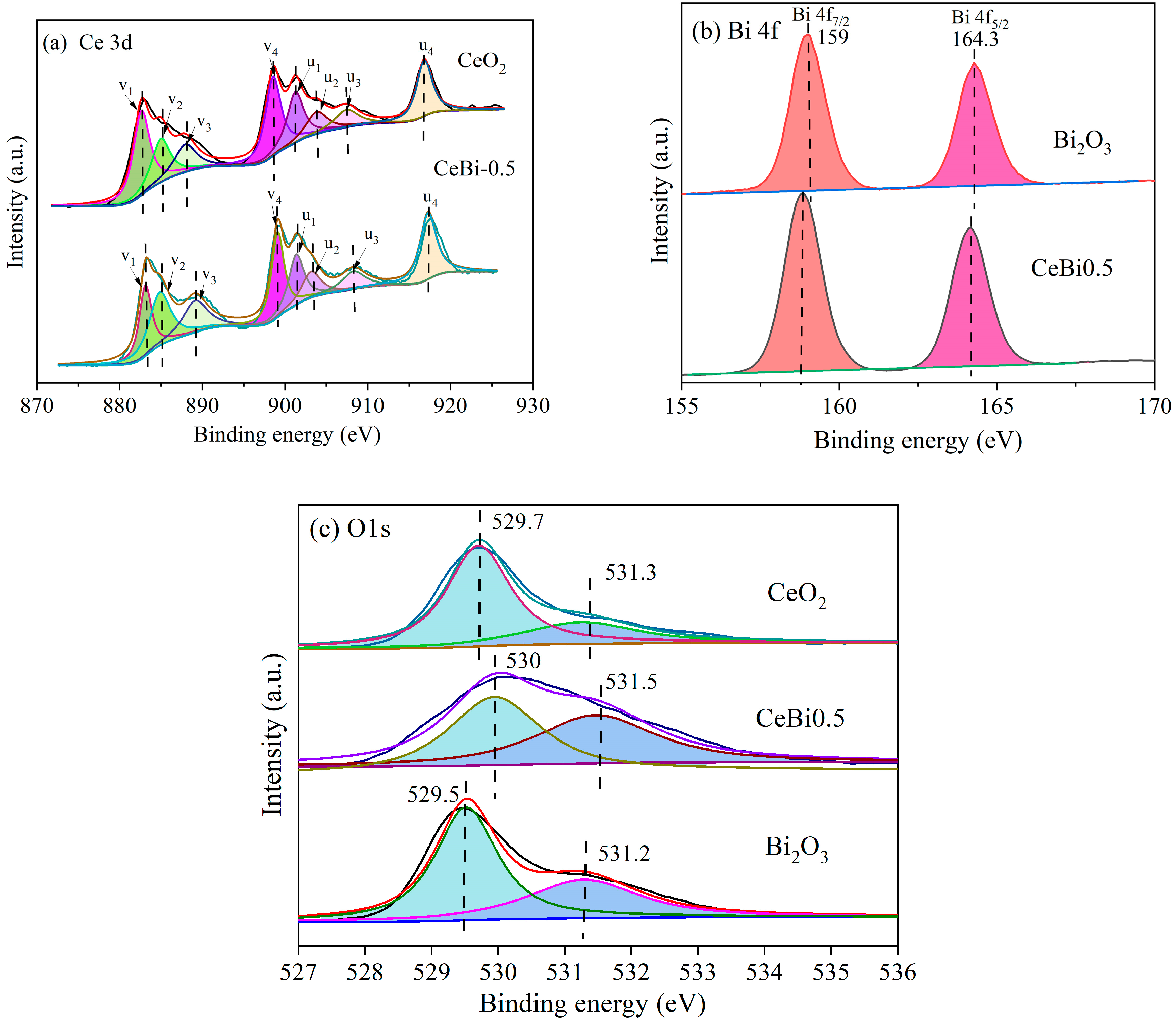 Catalysts 13 00821 g005