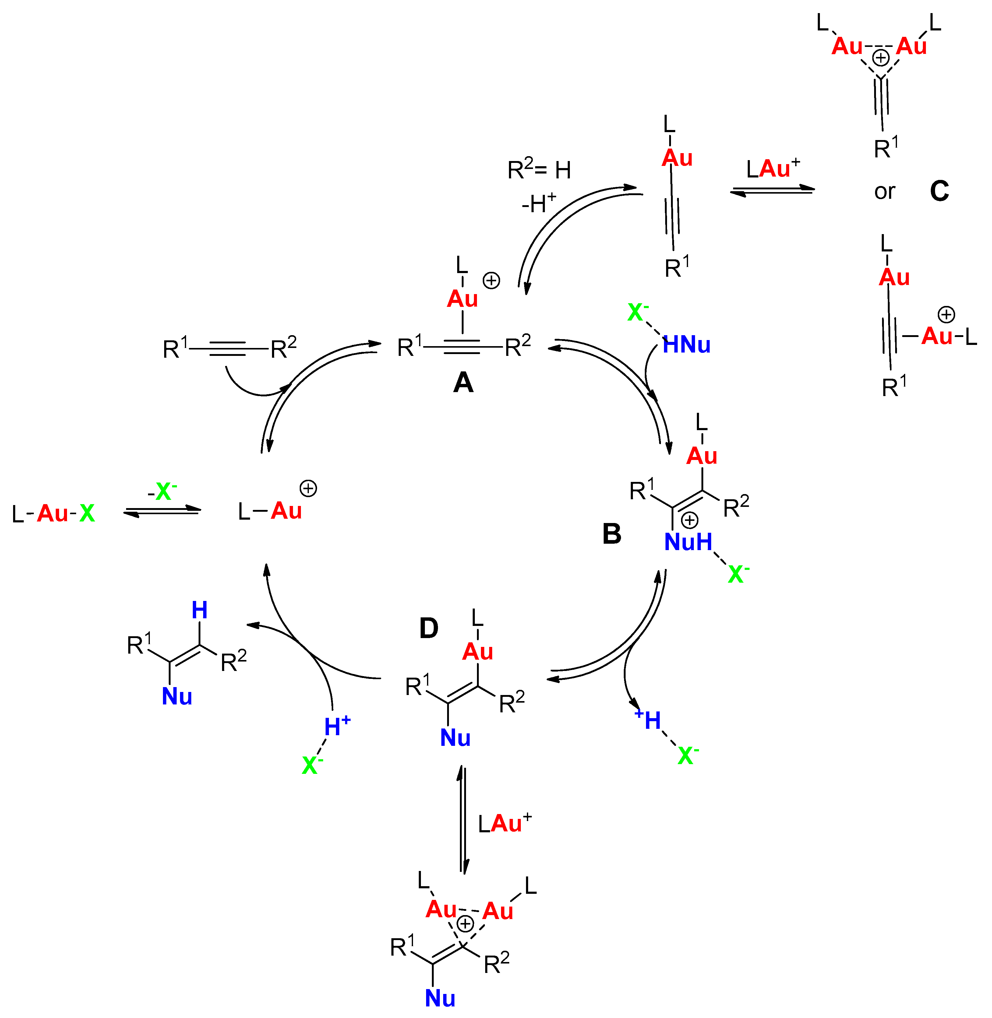 Catalysts 13 00822 g001