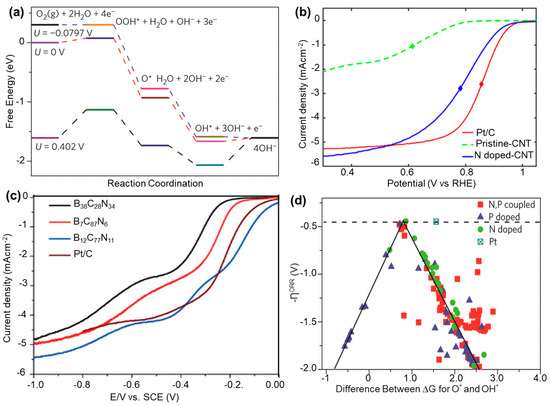 Catalysts 13 00823 g005