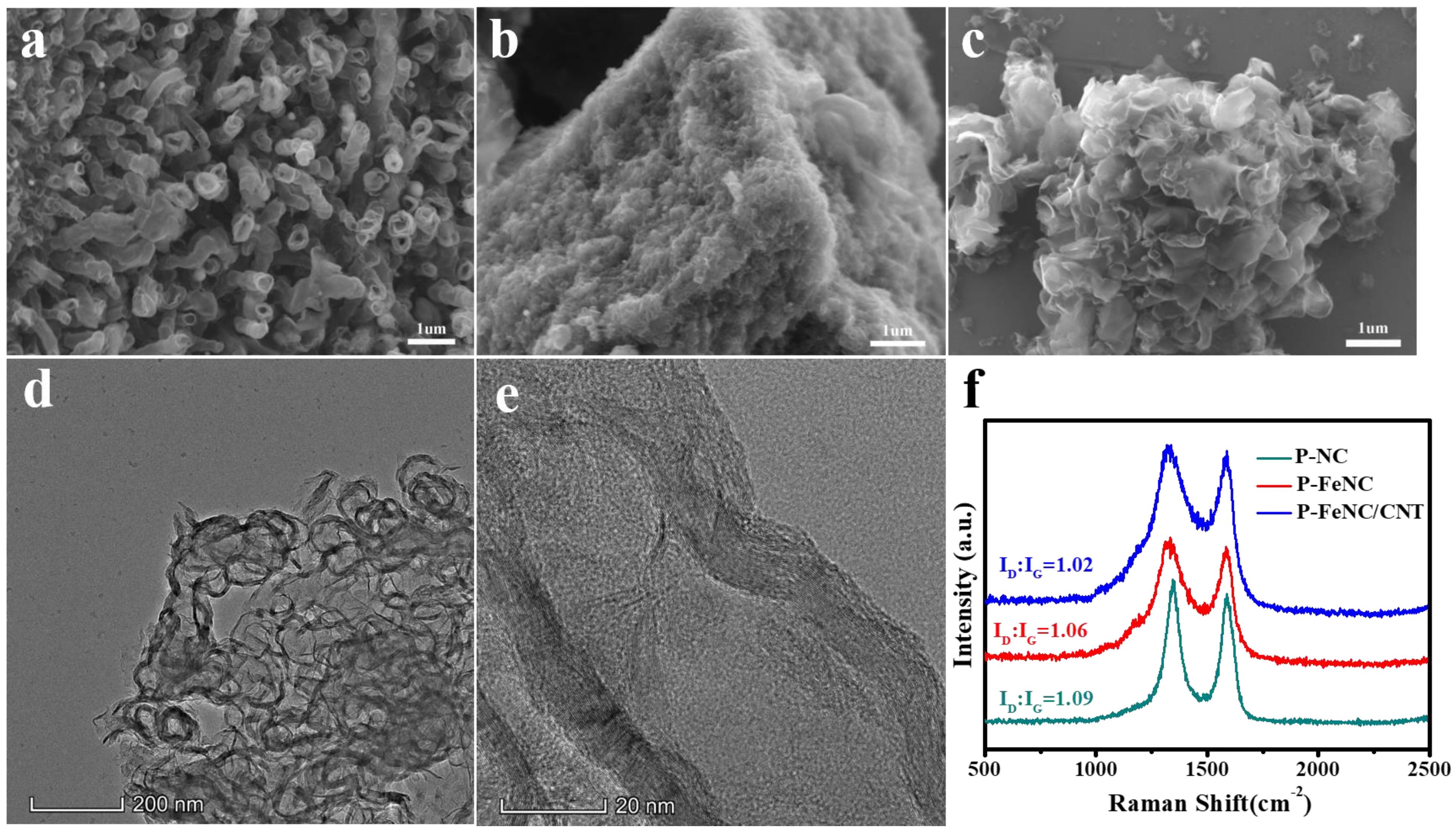 Catalysts 13 00824 g001