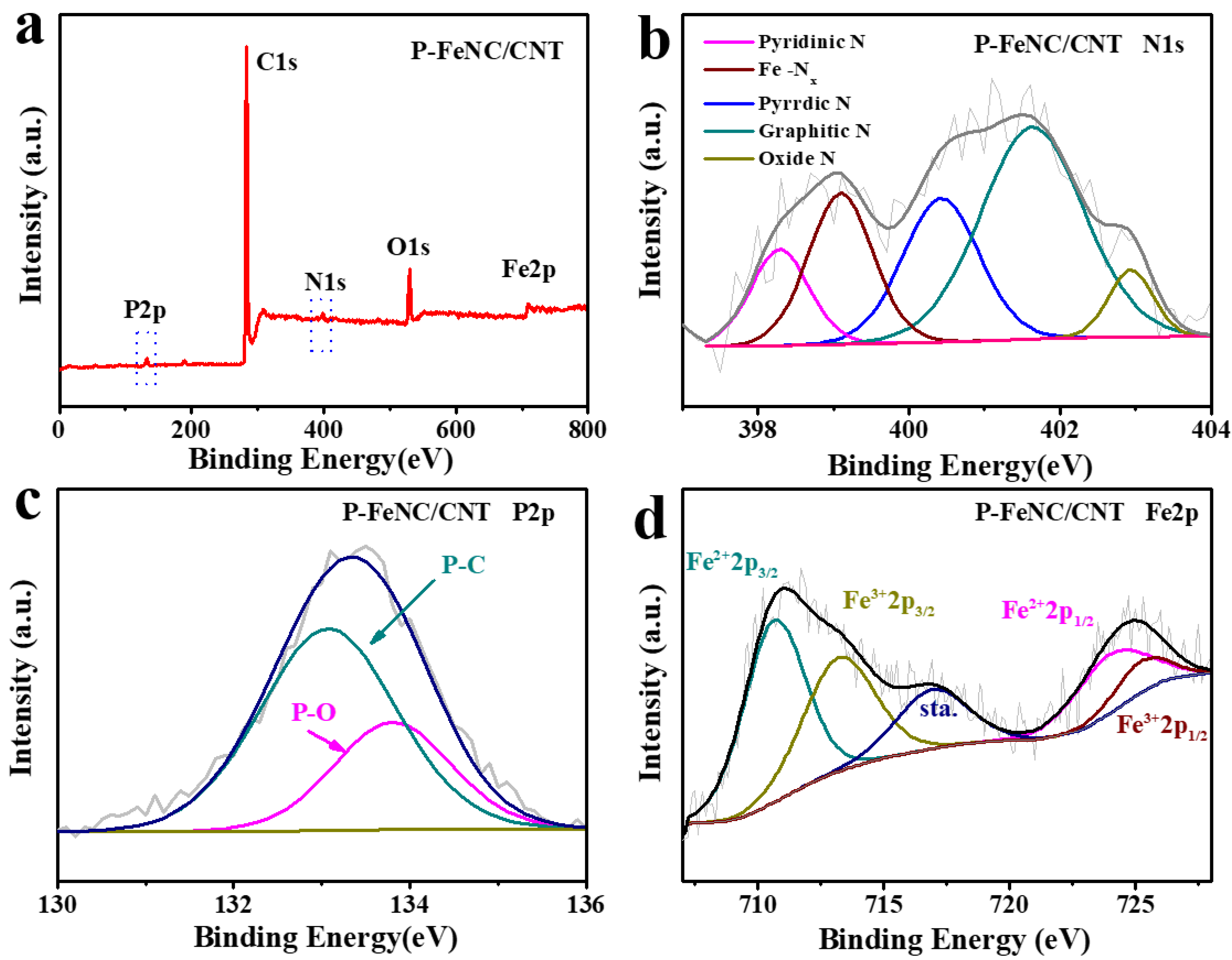 Catalysts 13 00824 g003