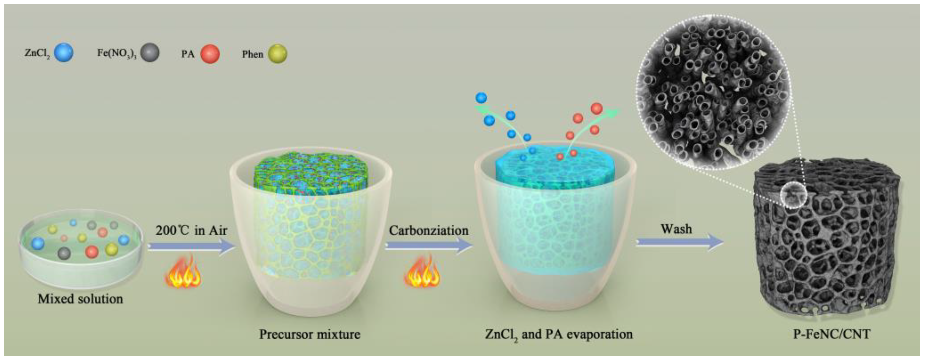 Catalysts 13 00824 sch001