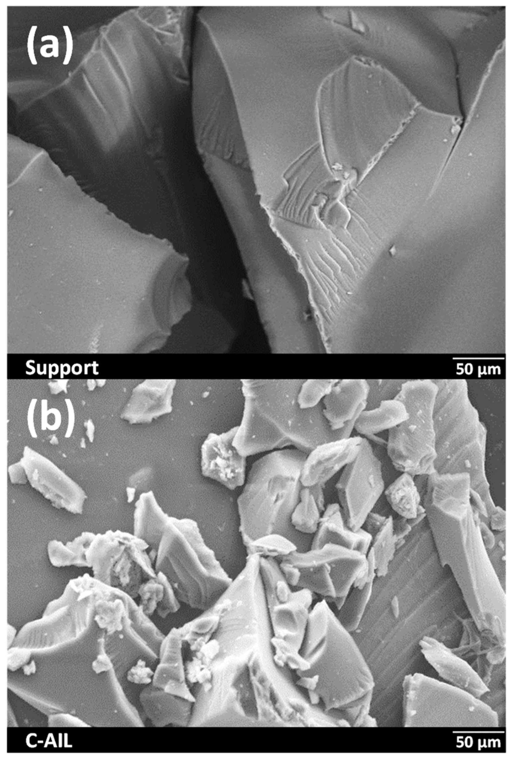 Catalysts 13 00825 g004