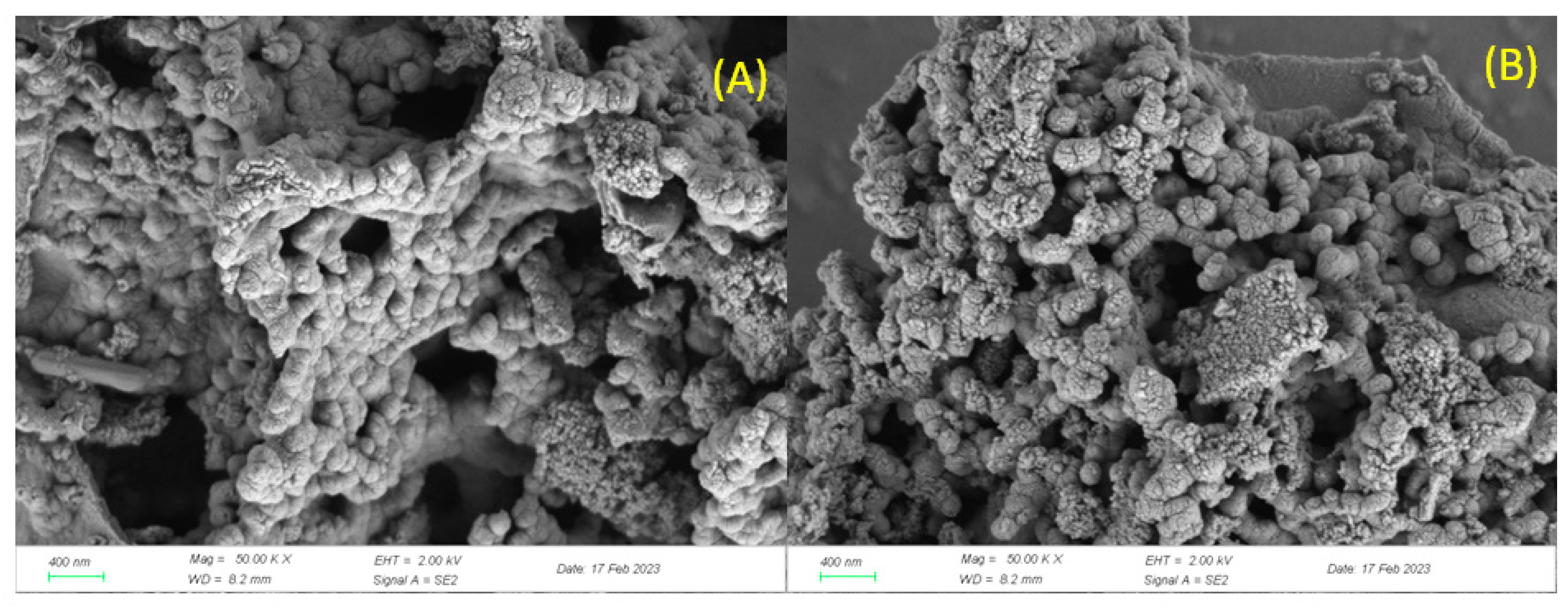 Catalysts 13 00828 g003